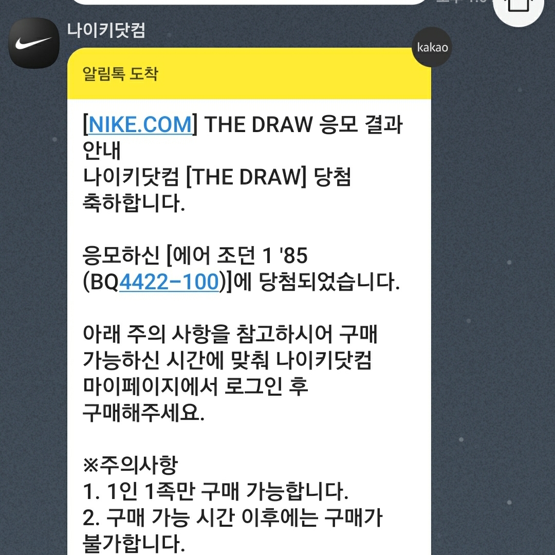 Jordan 1 High 85 Neutral Grey 착용 스타일