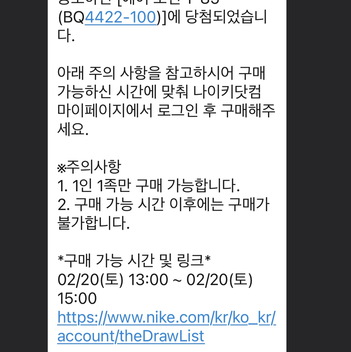 Jordan 1 High 85 Neutral Grey 착용 스타일 - 1