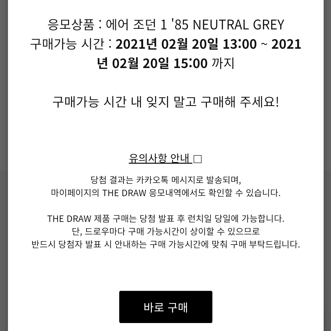 Jordan 1 High 85 Neutral Grey 착용 스타일