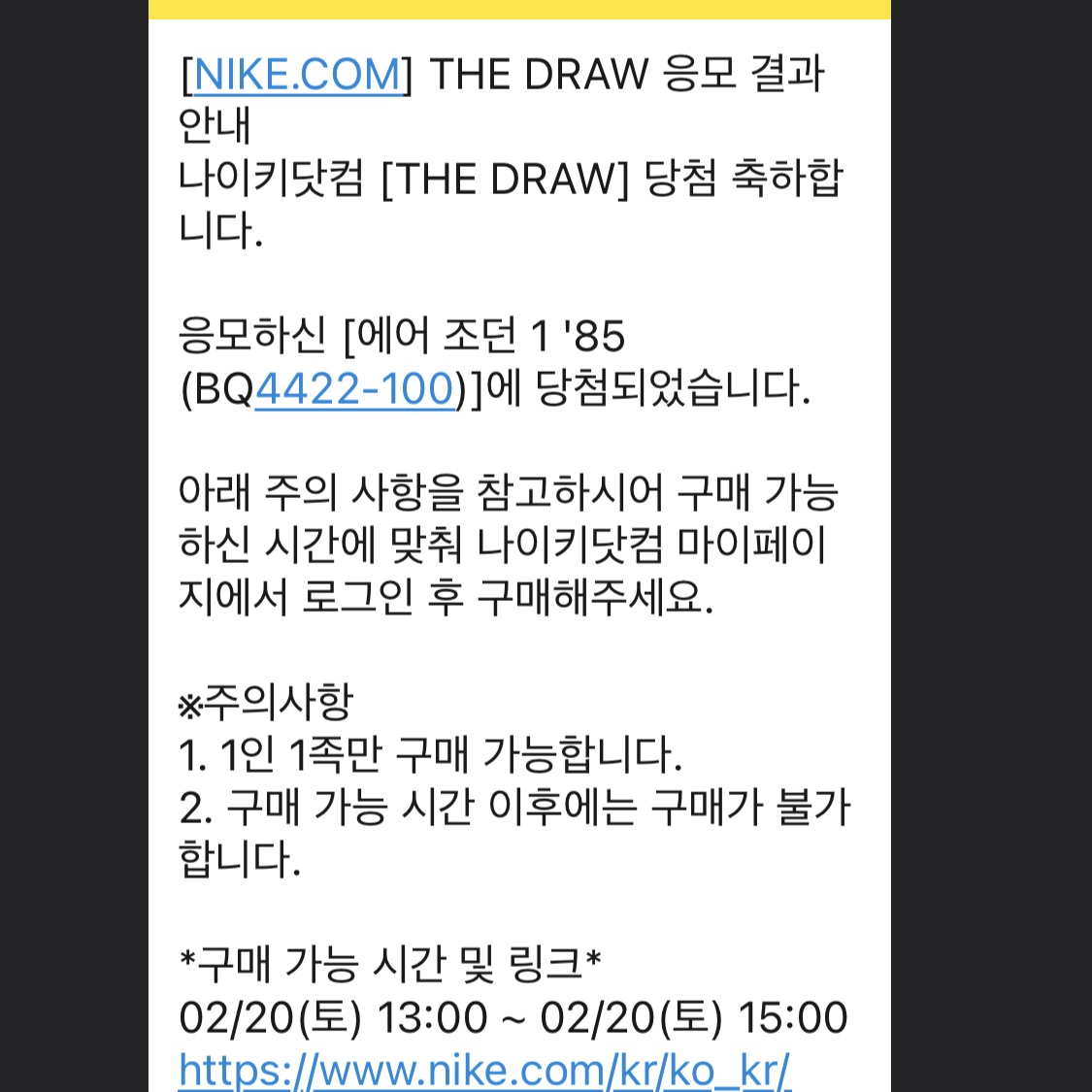 Jordan 1 High 85 Neutral Grey 착용 스타일