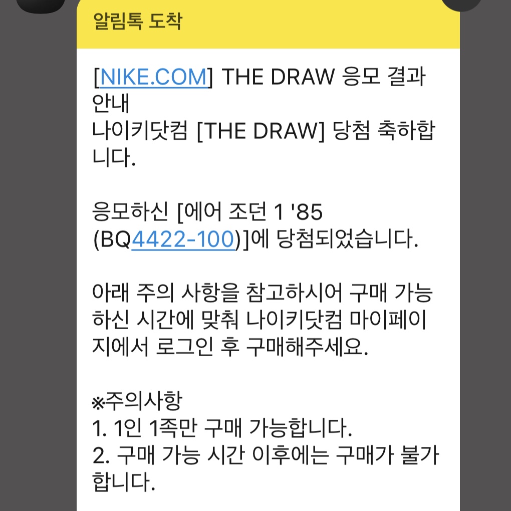 Jordan 1 High 85 Neutral Grey 착용 스타일