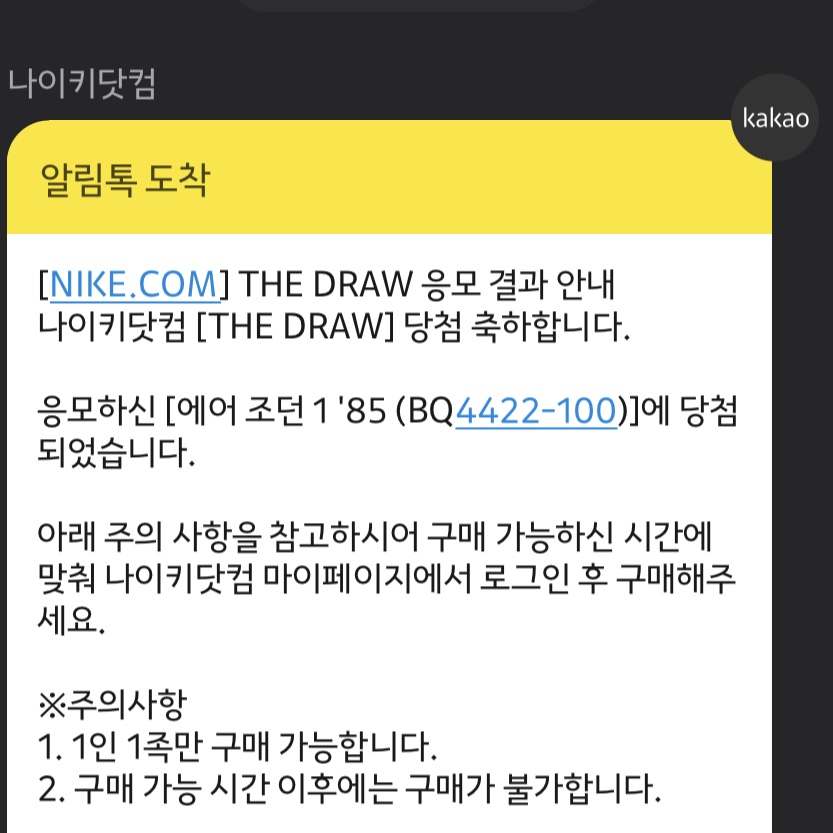Jordan 1 High 85 Neutral Grey 착용 스타일