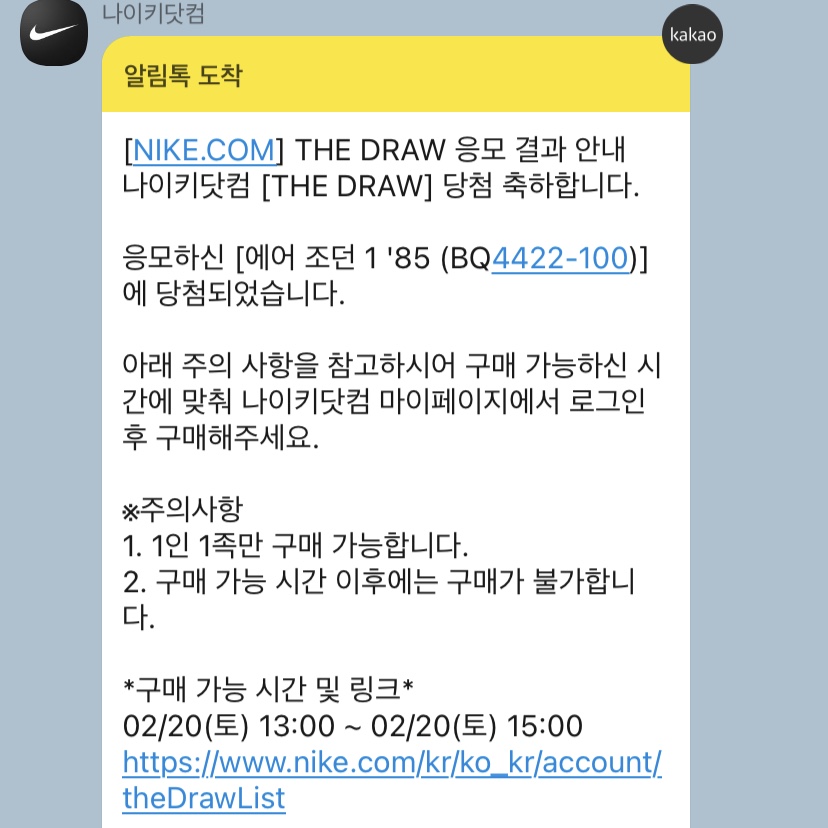 Jordan 1 High 85 Neutral Grey 착용 스타일
