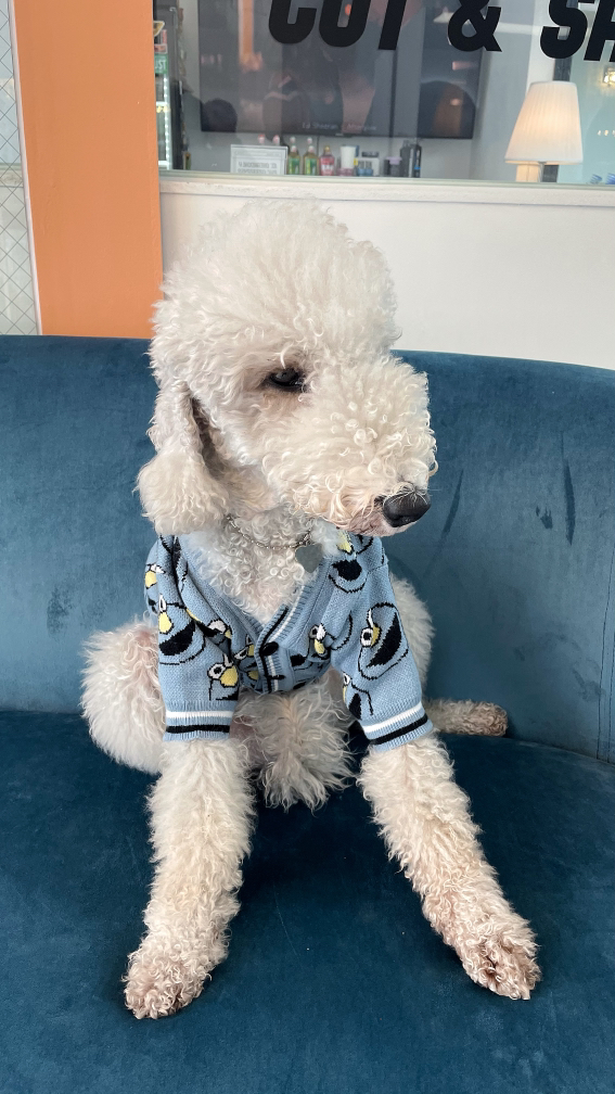 KREAM 프로필 이미지