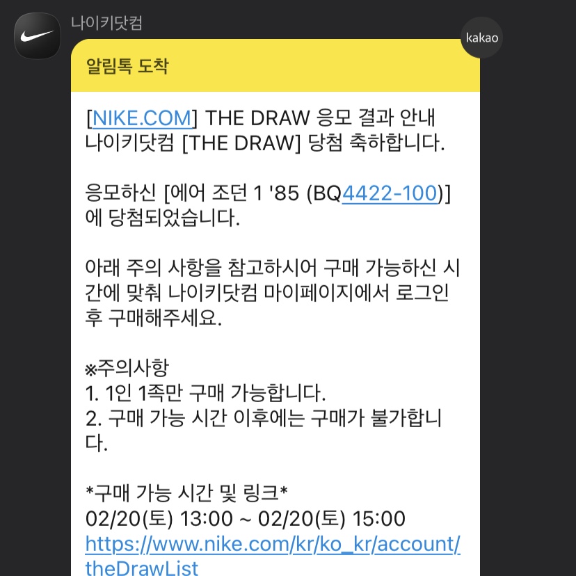 Jordan 1 High 85 Neutral Grey 착용 스타일