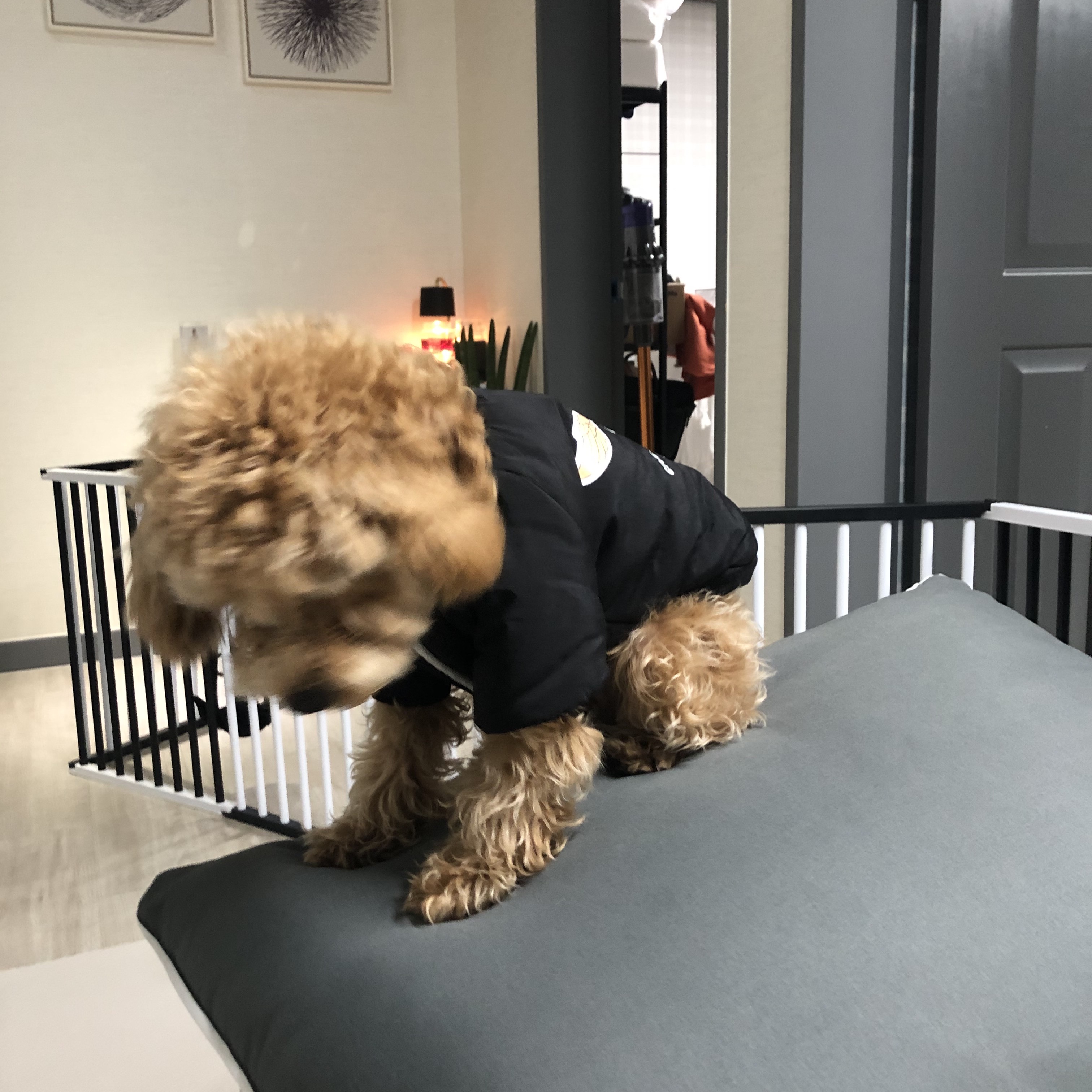 🐶🐧🥜님의 스타일 - 2