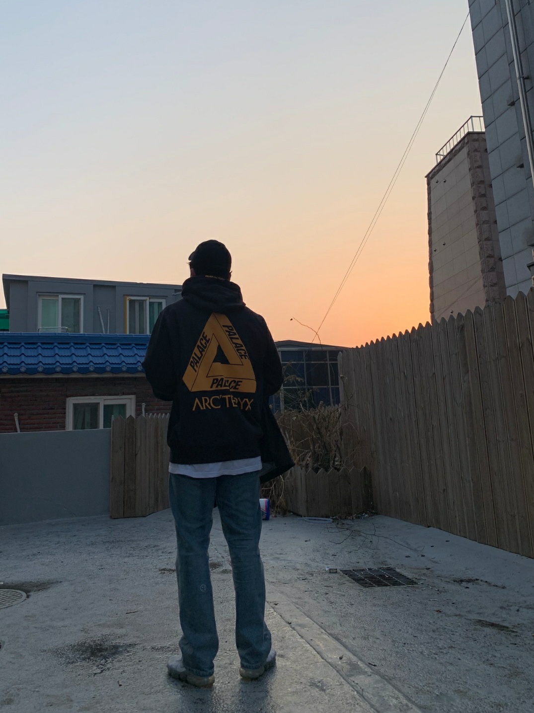 Palace x Arc'teryx Hood Black - 20FW, Nike Air VaporMax SE Laceless Pure Platinum 착용 스타일