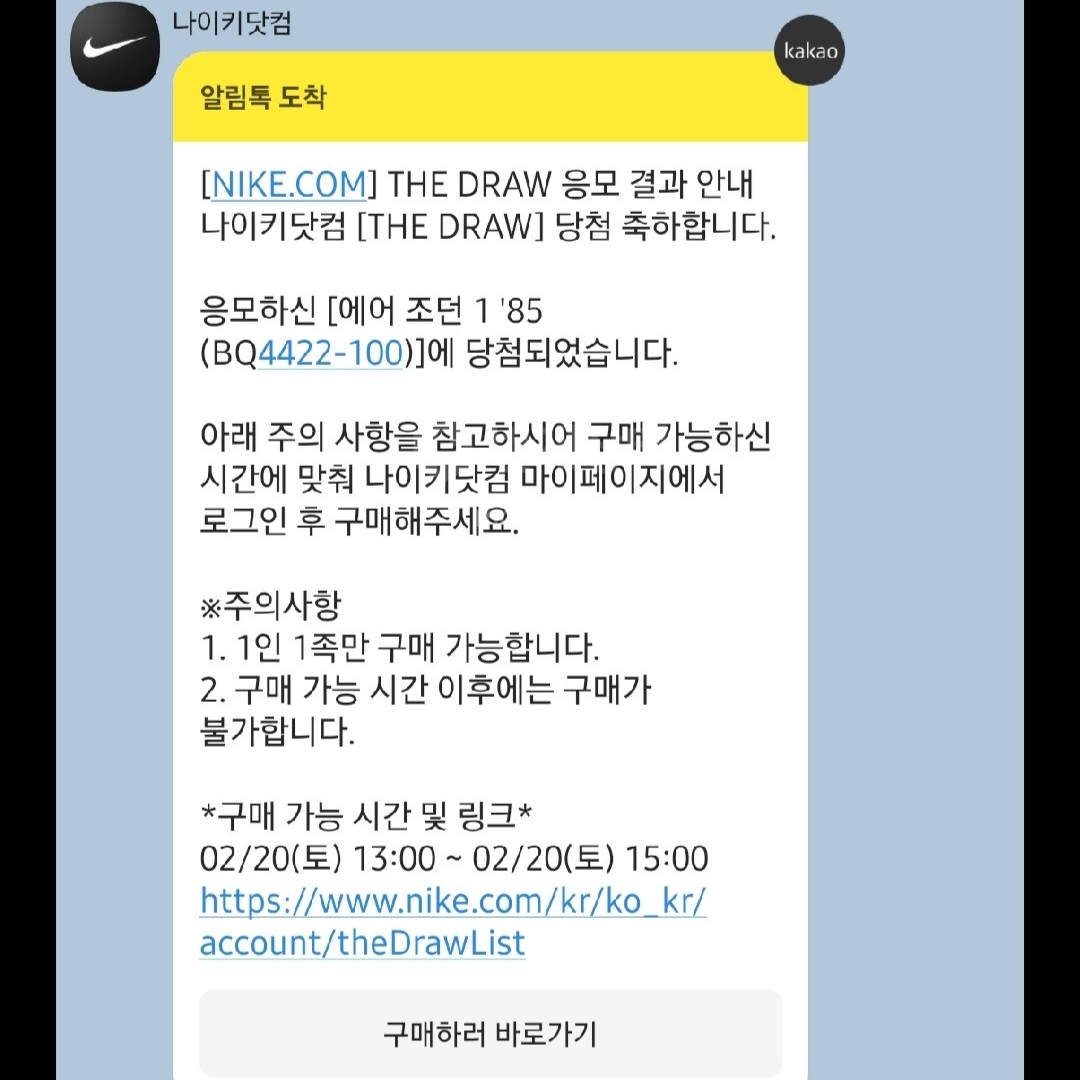 Jordan 1 Retro High OG CO.JP Midnight Navy, Jordan 1 Retro High OG Black Mocha 착용 스타일 - 4