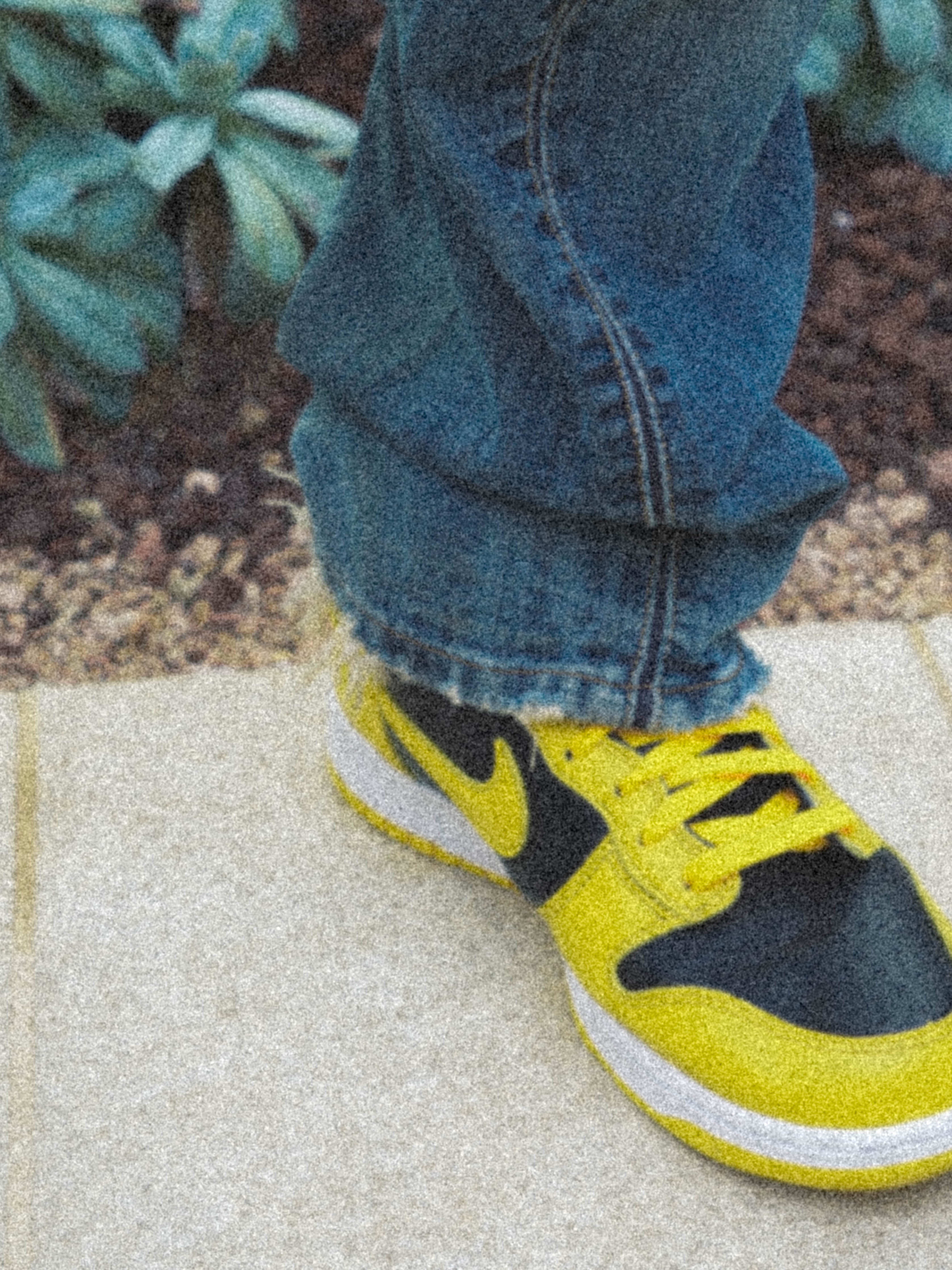 Nike Dunk High SP Varsity Maize 착용 스타일 - 2