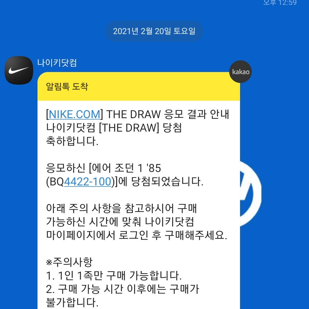 Jordan 1 High 85 Neutral Grey 착용 스타일