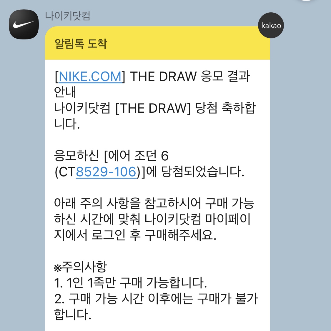 Jordan 6 Retro Carmine 2021 착용 스타일 - 5