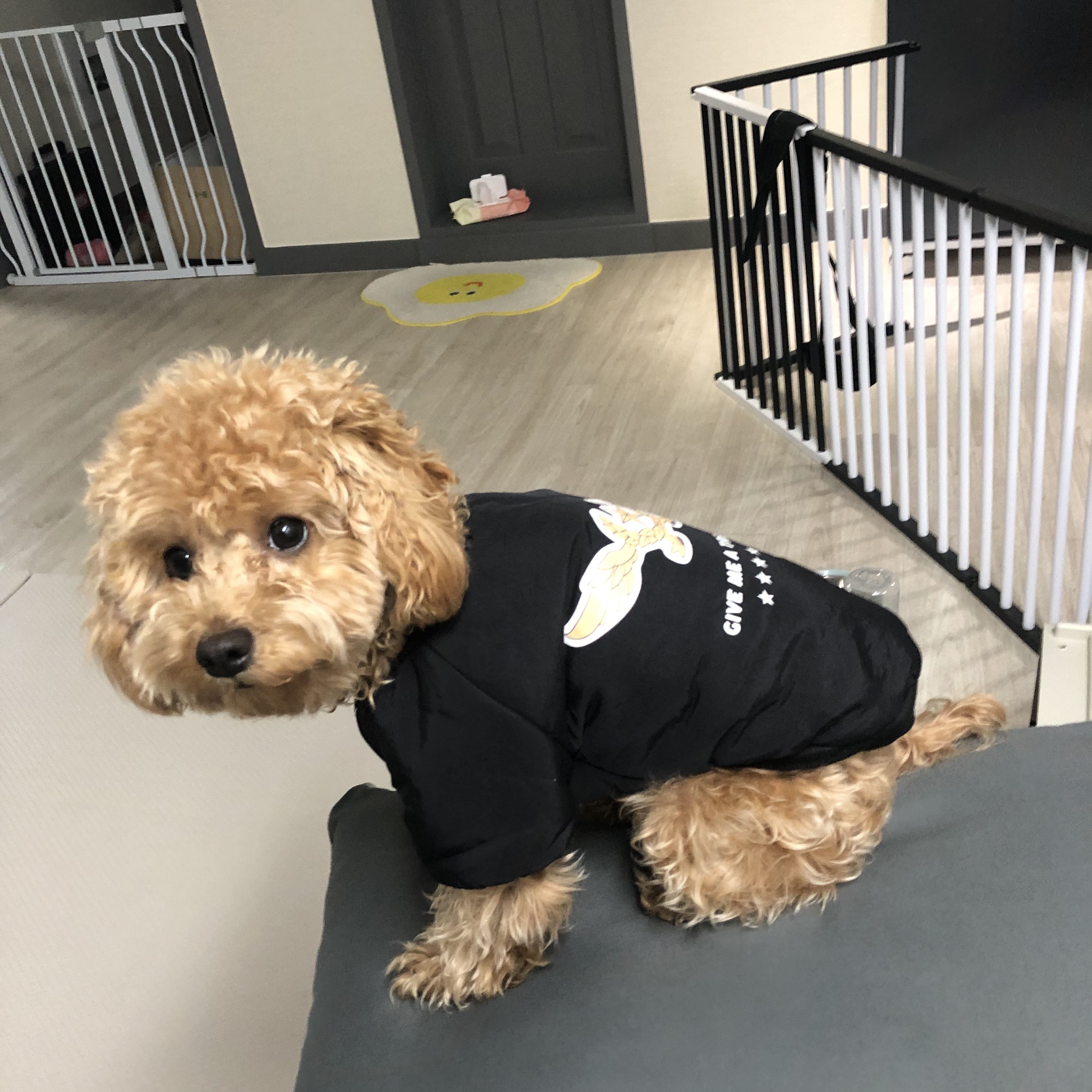 🐶🐧🥜님의 스타일 - 3