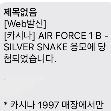 Nike Air Force 1 B Silver Snake 착용 스타일 - 2