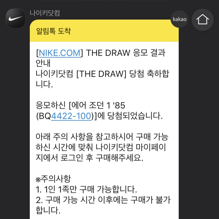 Jordan 1 High 85 Neutral Grey 착용 스타일