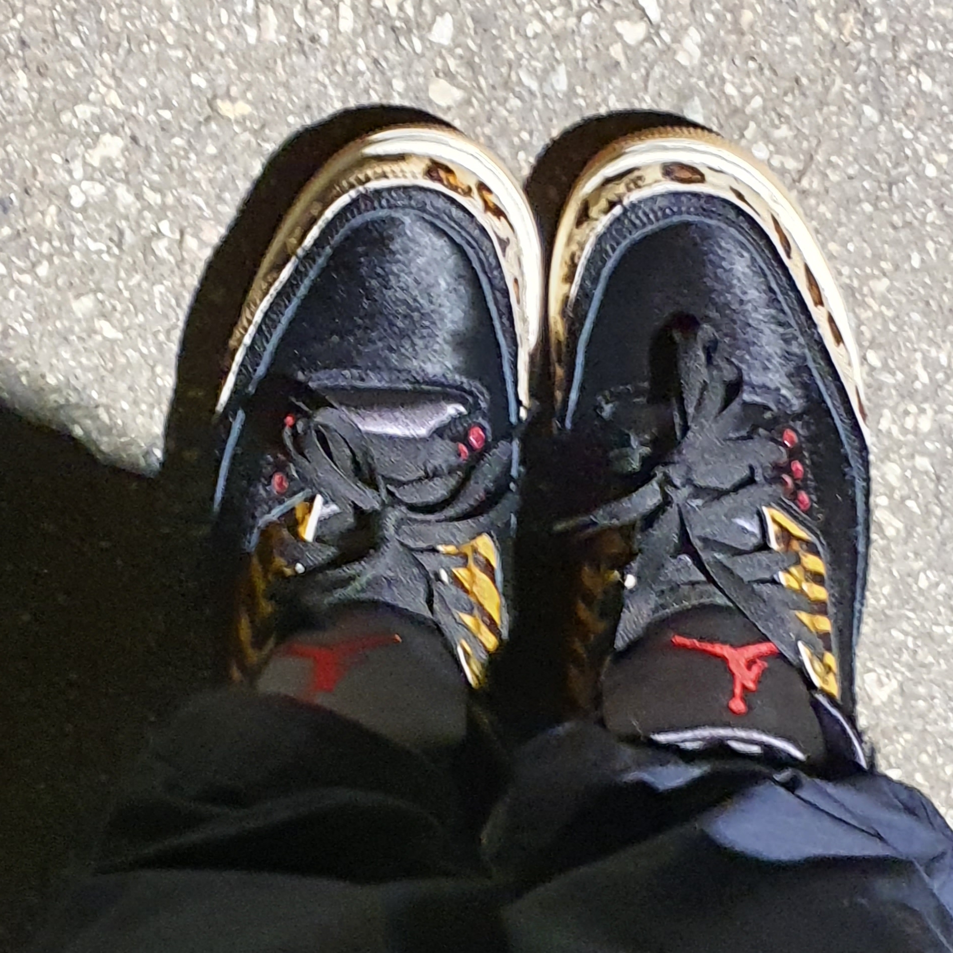 Jordan 3 Retro SE Animal Instinct 착용 스타일
