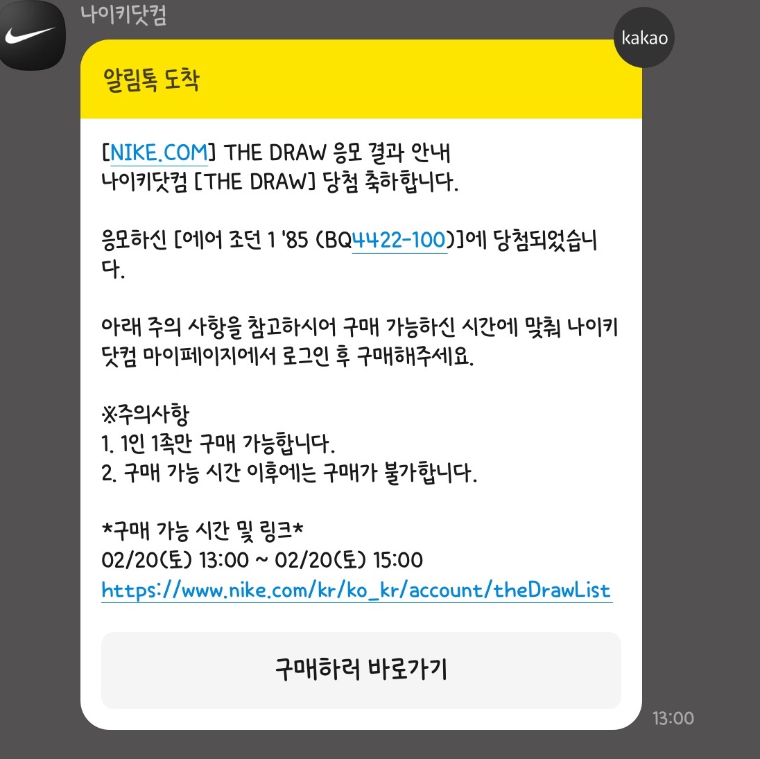 Jordan 1 High 85 Neutral Grey 착용 스타일 - 1