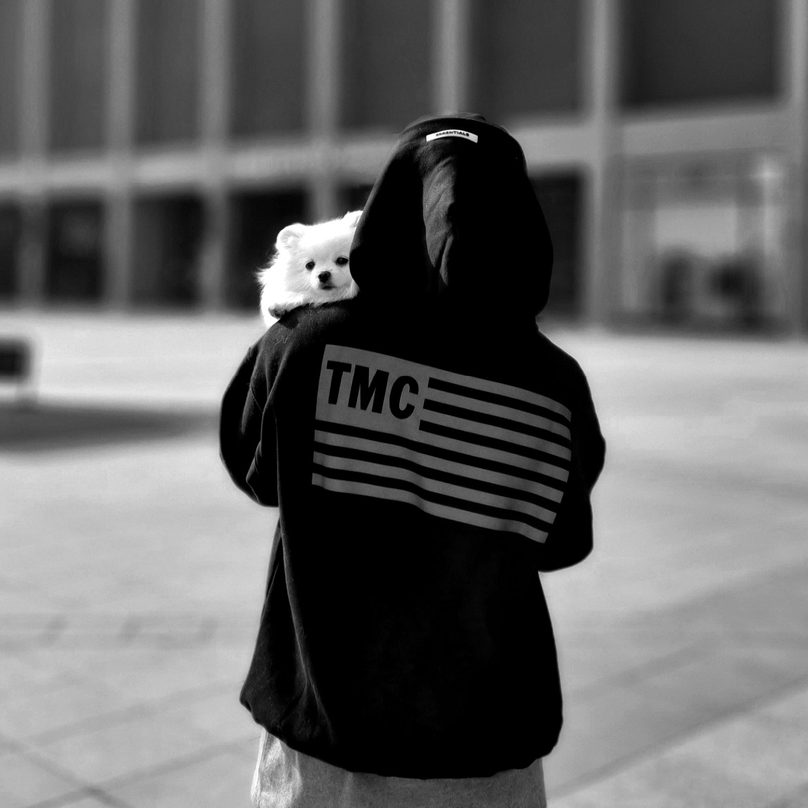 Essentials 3D Silicon Applique Full Zip Up Hoodie Dark Slate/Stretch Limo/Black - 20SS 착용 스타일 - 2