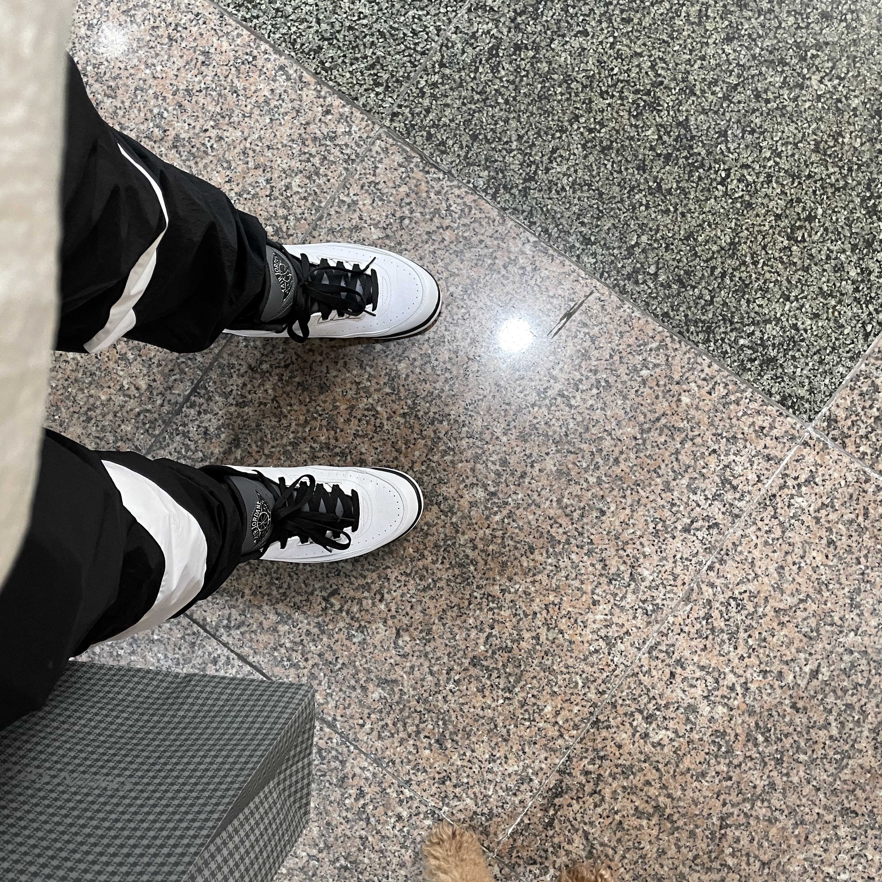 Jordan 2 Retro Wing It 착용 스타일 - 3