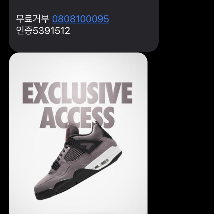 Jordan 4 Retro Taupe Haze 착용 스타일