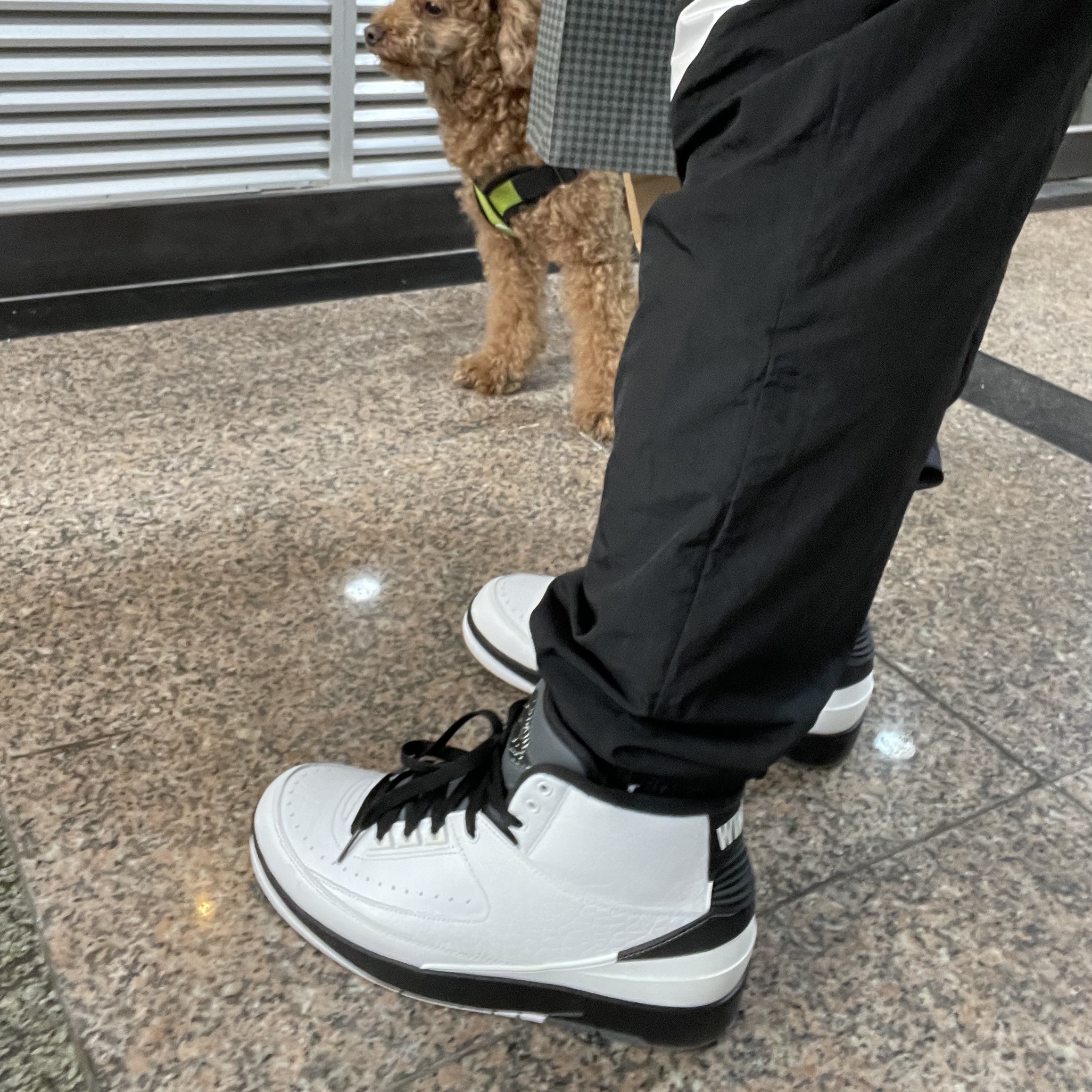 Jordan 2 Retro Wing It 착용 스타일 - 1