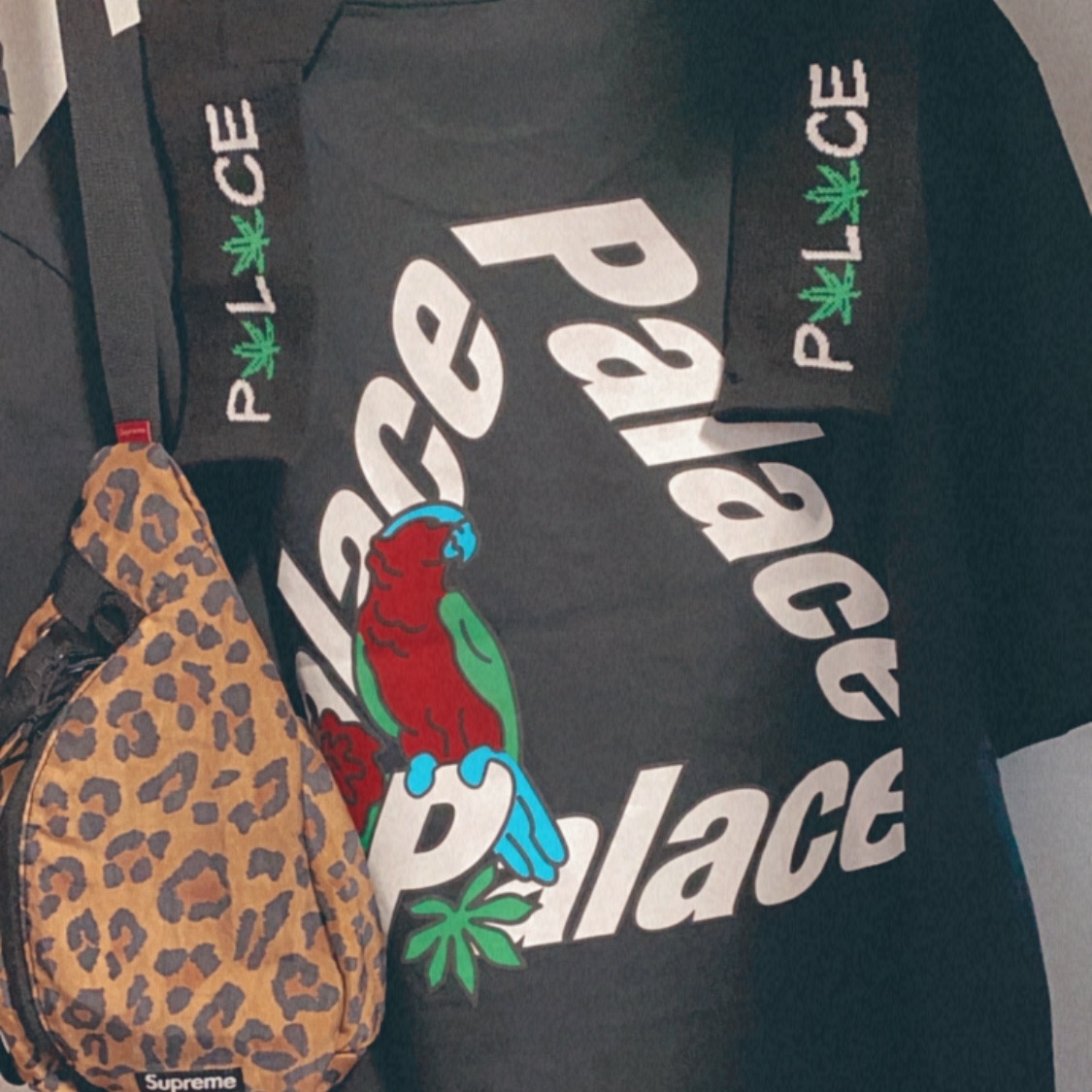 Palace Parrot Palace-3 T-Shirt Black - 20FW 착용 스타일