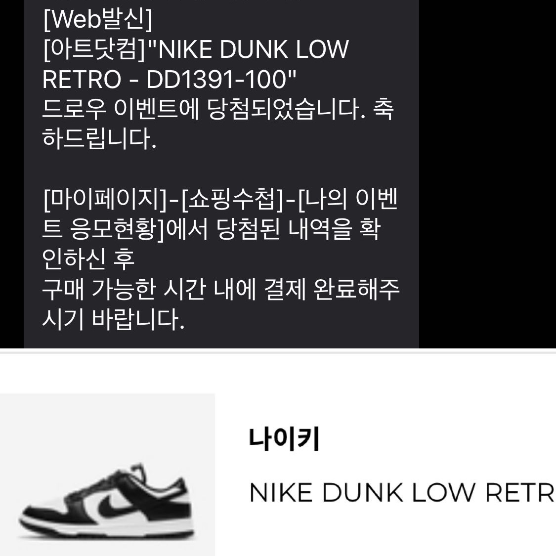 Nike Dunk Low Retro Black 착용 스타일