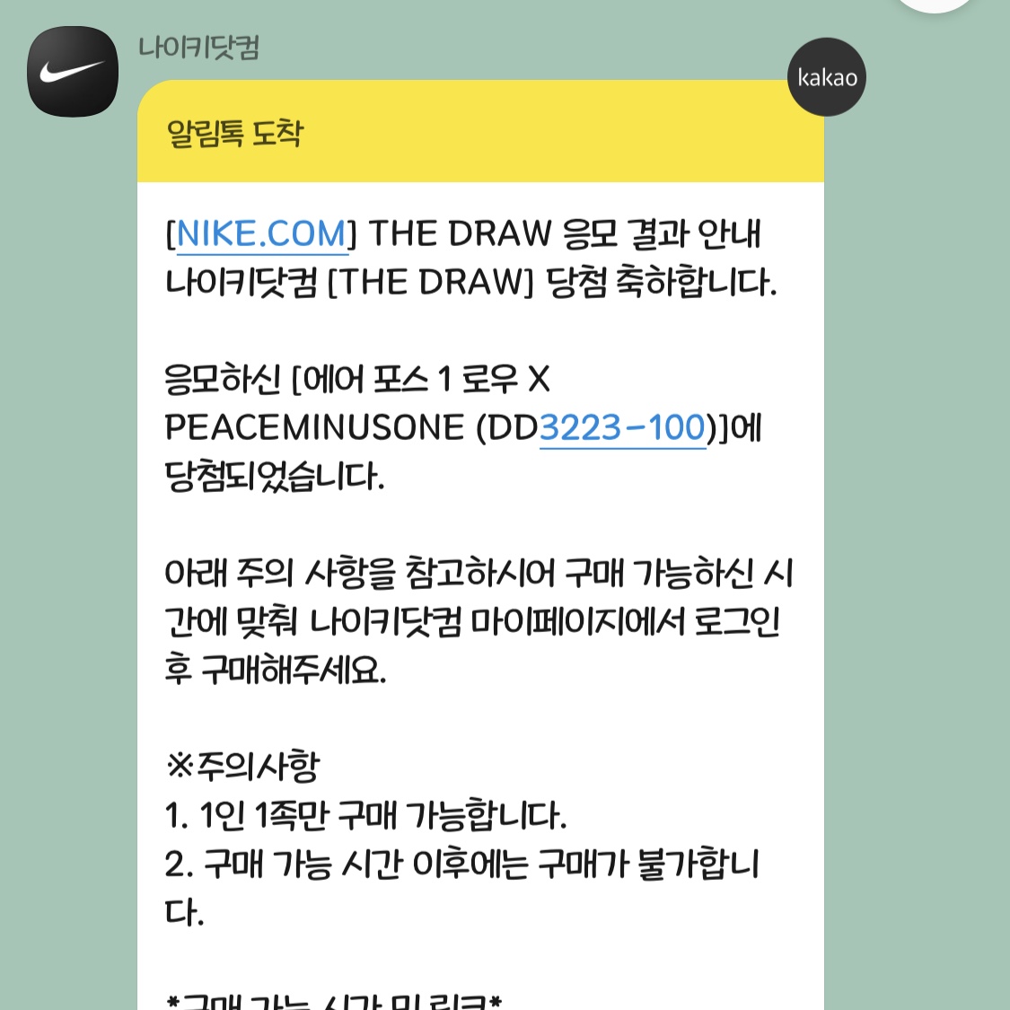 Nike x Peaceminusone Air Force 1 Low Para-Noise 2.0 착용 스타일 - 5