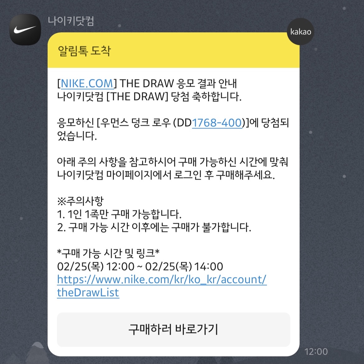 (W) Nike Dunk Low SP College Navy 착용 스타일