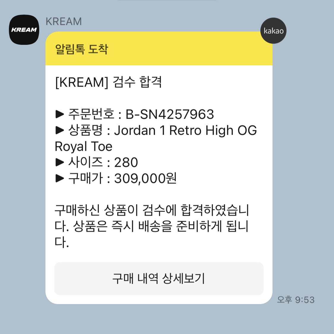 Jordan 1 Retro High OG Royal Toe 착용 스타일