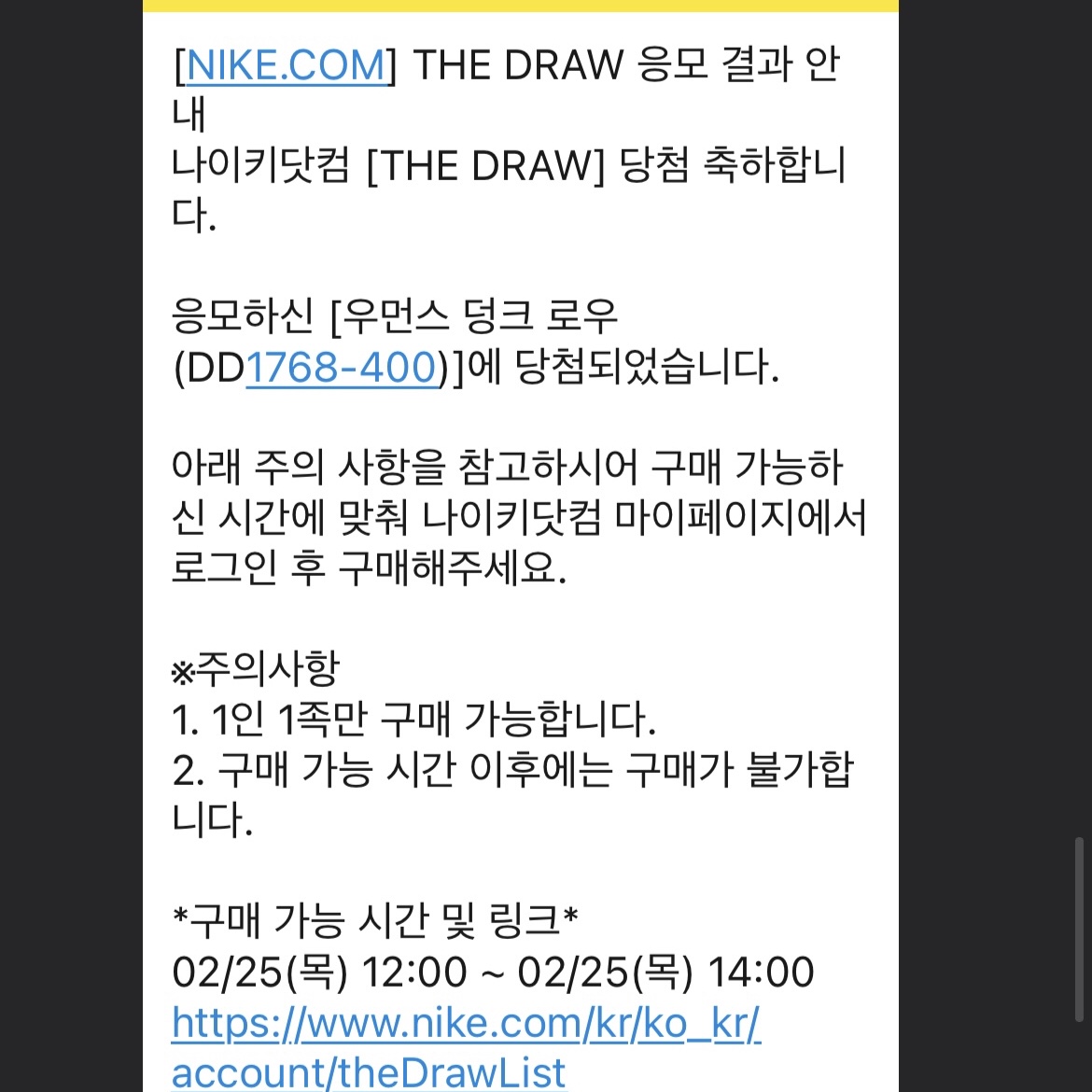 (W) Nike Dunk Low SP College Navy 착용 스타일