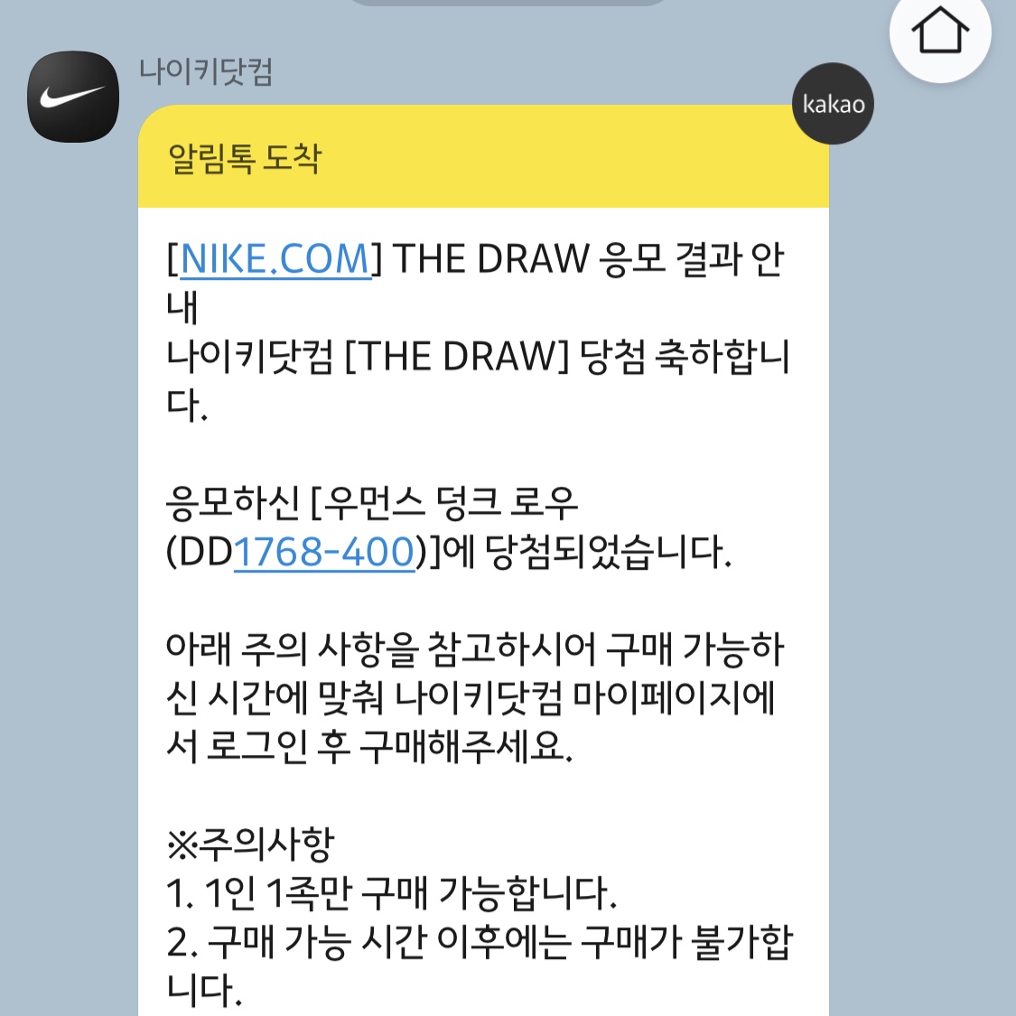 (W) Nike Dunk Low SP College Navy 착용 스타일