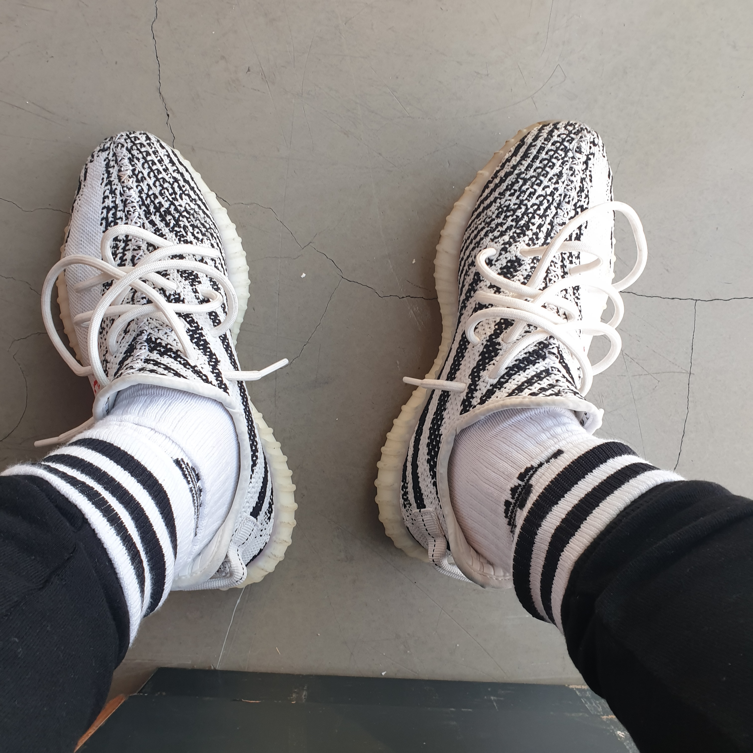 Adidas Yeezy Boost 350 V2 Zebra 2017/2019/2020 착용 스타일