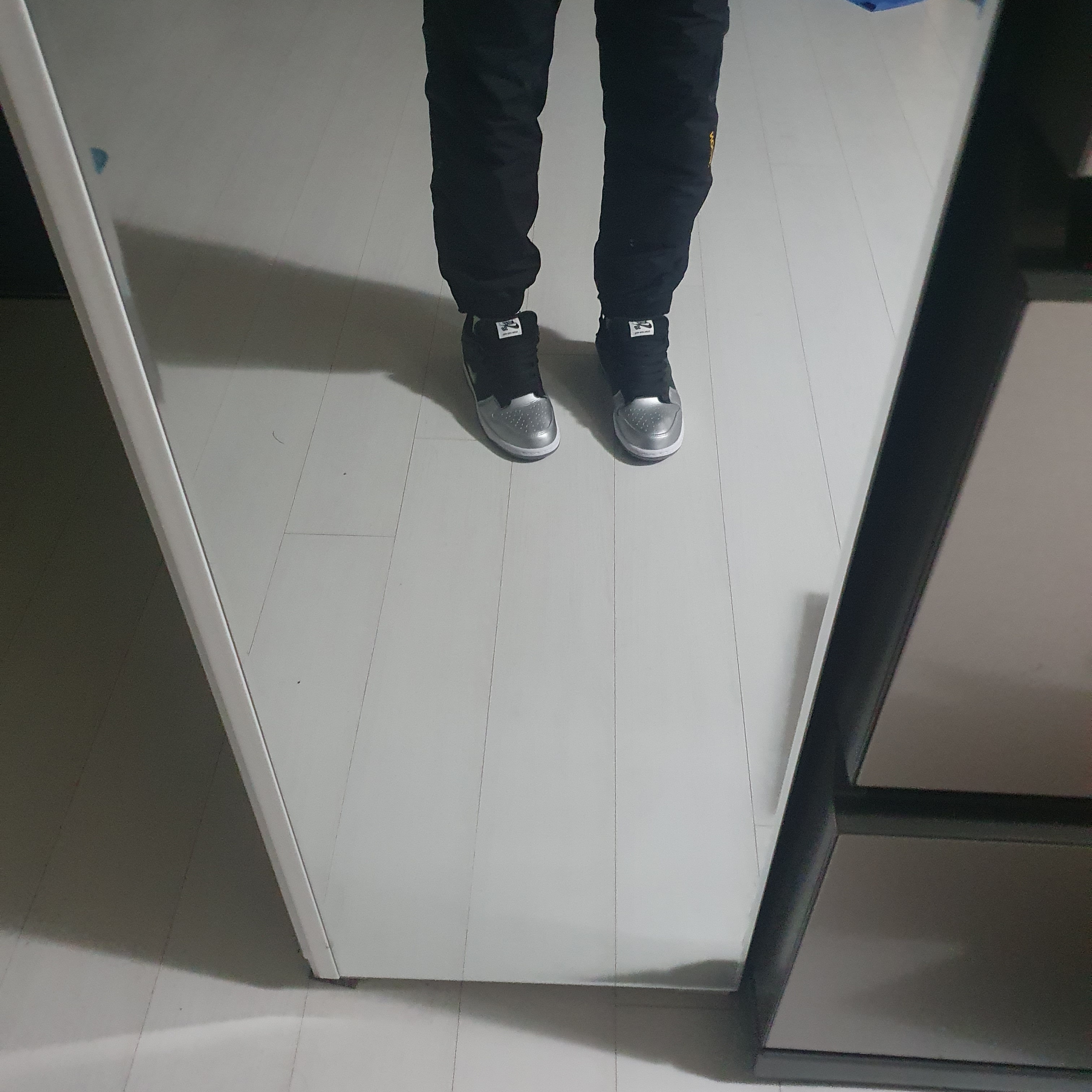 Nike x Supreme SB Dunk Low Jewel Swoosh Silver 착용 스타일 - 2