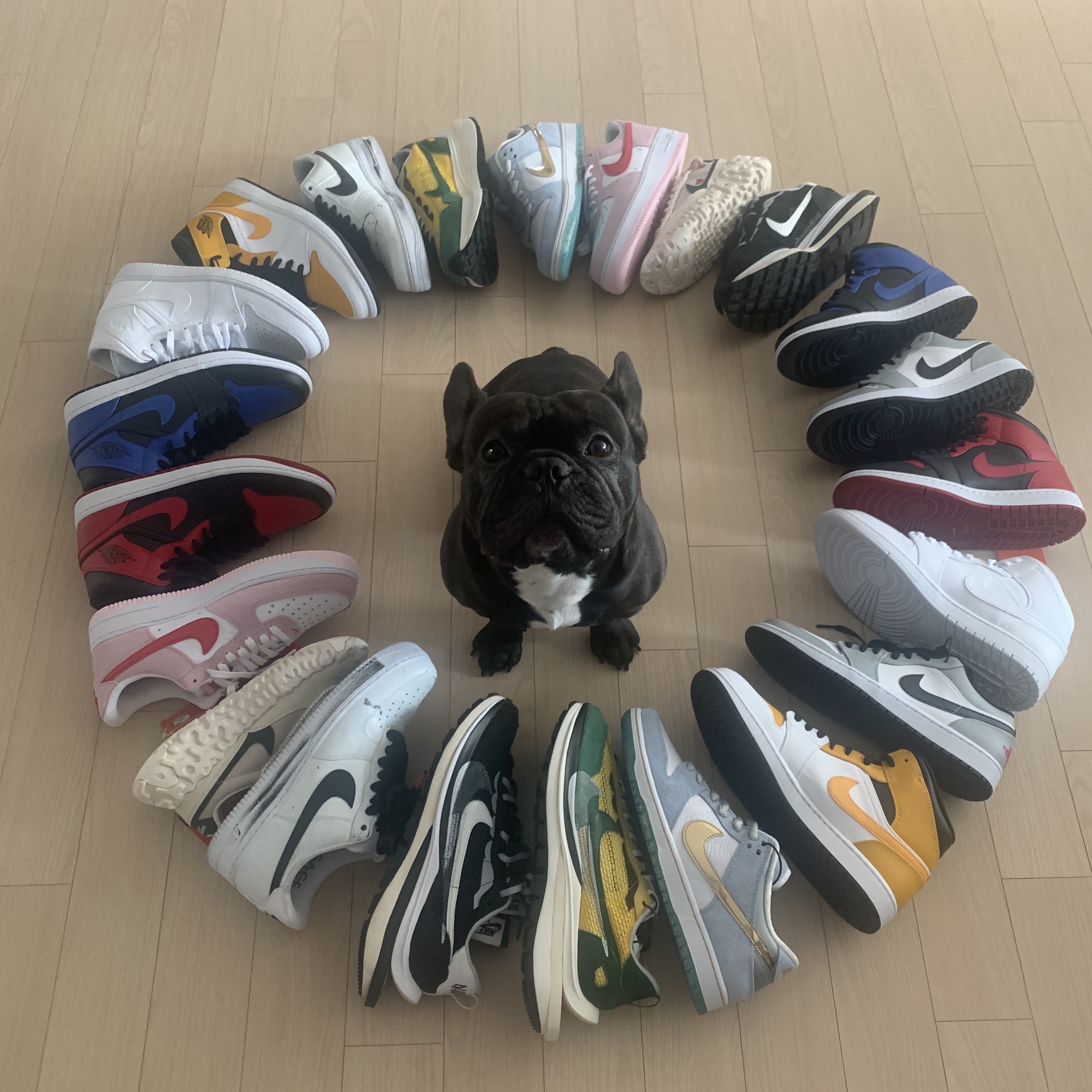 Nike x Sacai VaporWaffle Black White, Nike x Sacai VaporWaffle Tour Yellow & Gorge Green Sail 착용 스타일