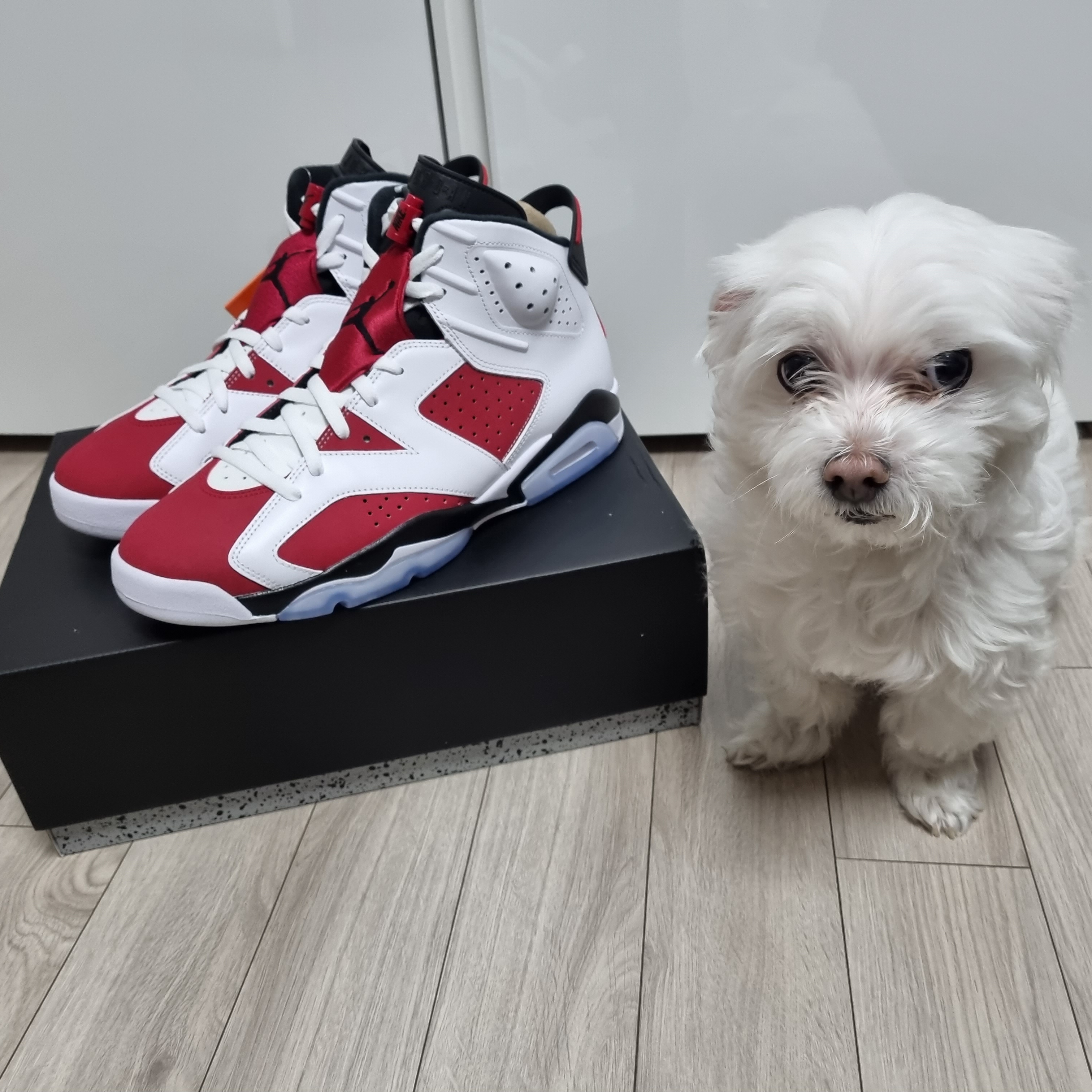 Jordan 6 Retro Carmine 2021 착용 스타일
