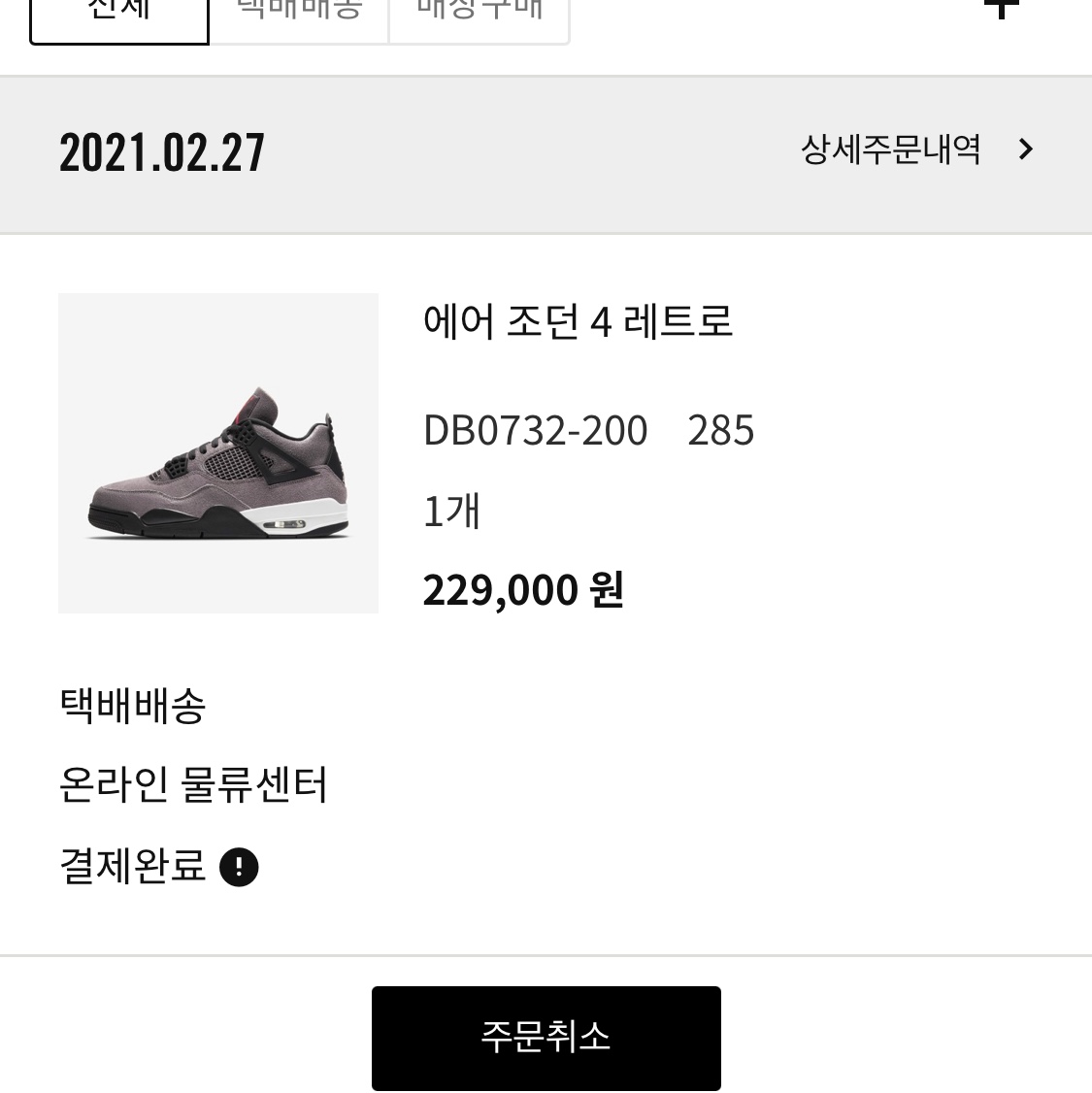Jordan 4 Retro Taupe Haze 착용 스타일