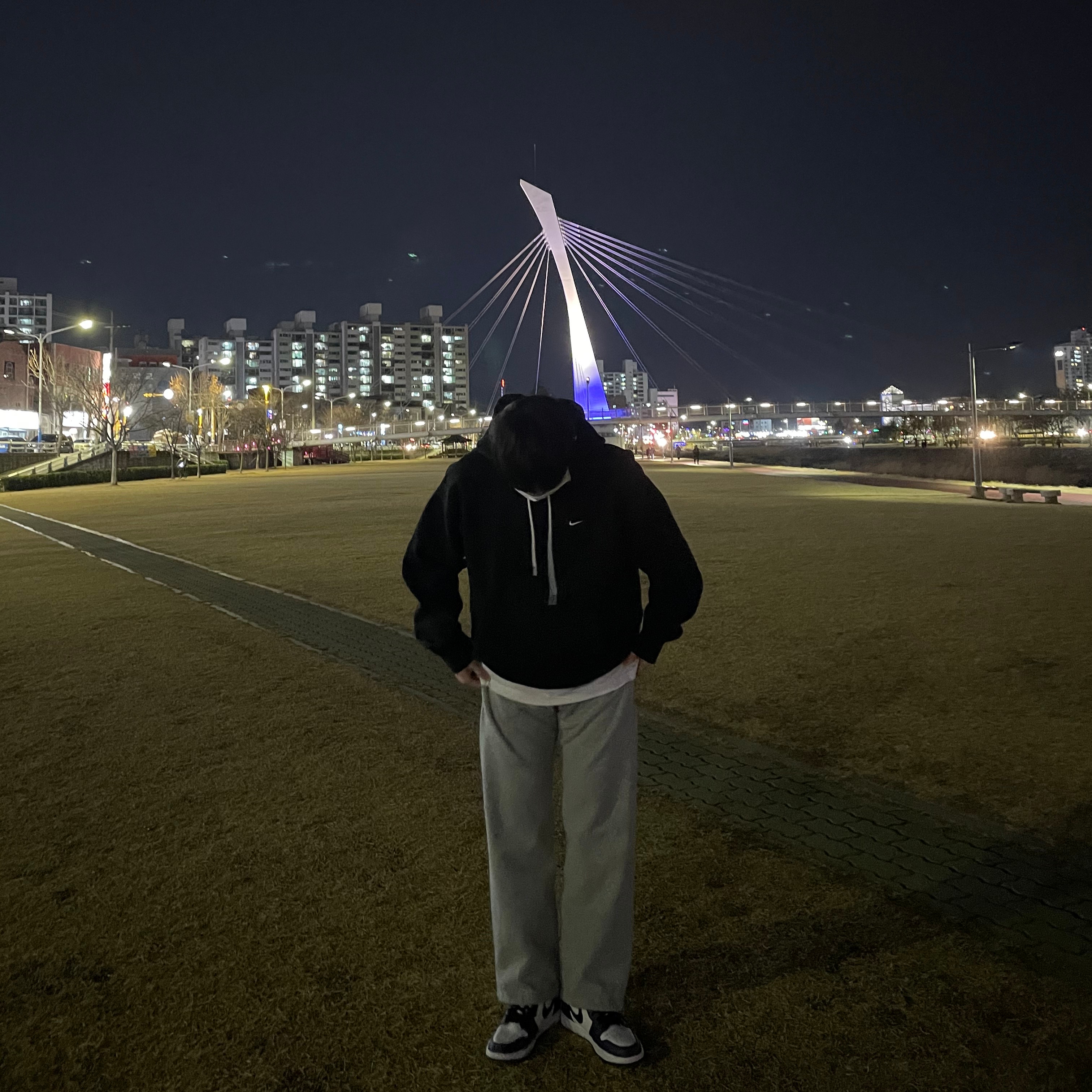 Nike M NRG Hoodie Black White, Jordan 1 Retro High OG Court Purple 2020 착용 스타일
