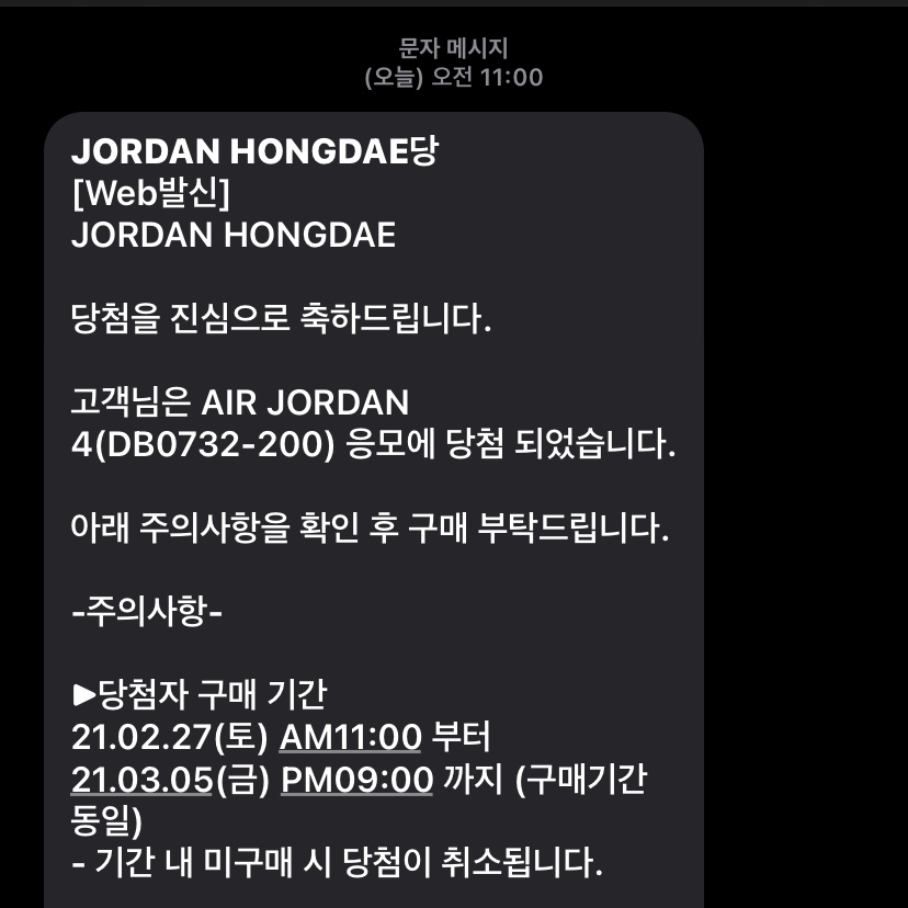 Jordan 4 Retro Taupe Haze 착용 스타일