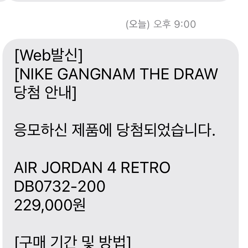 Jordan 4 Retro Taupe Haze 착용 스타일