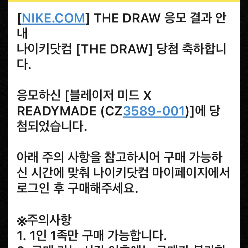 Nike x Readymade Blazer Mid Black 착용 스타일