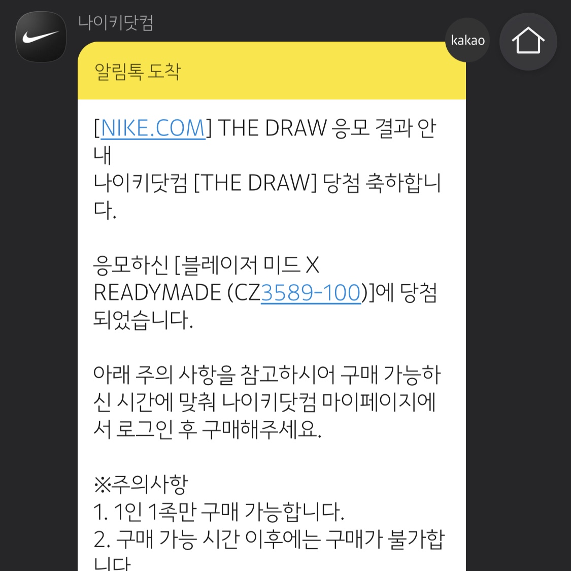 Nike x Readymade Blazer Mid White 착용 스타일