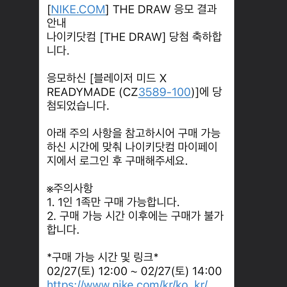 Nike x Readymade Blazer Mid White 착용 스타일