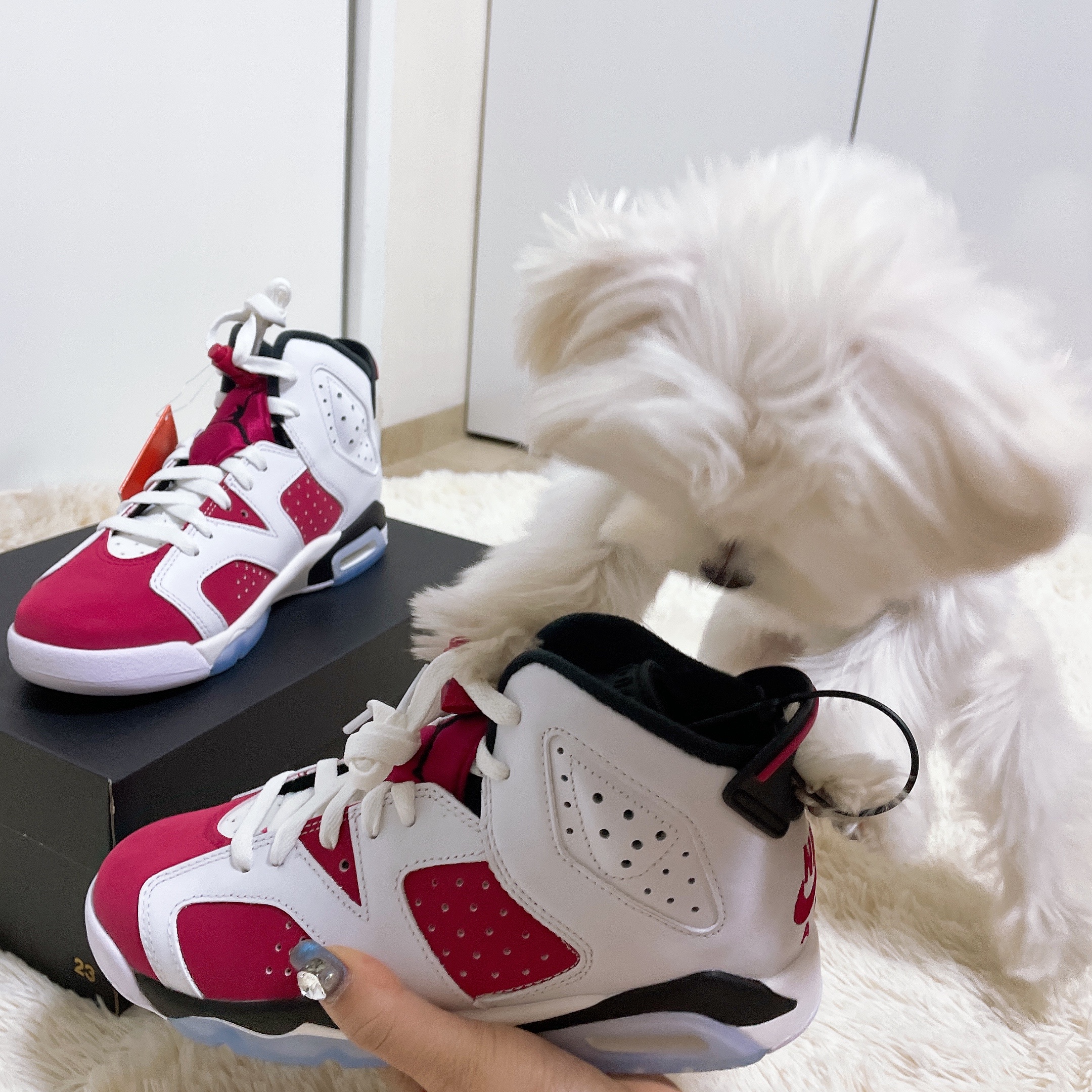 (GS) Jordan 6 Retro Carmine 2021 착용 스타일 - 2