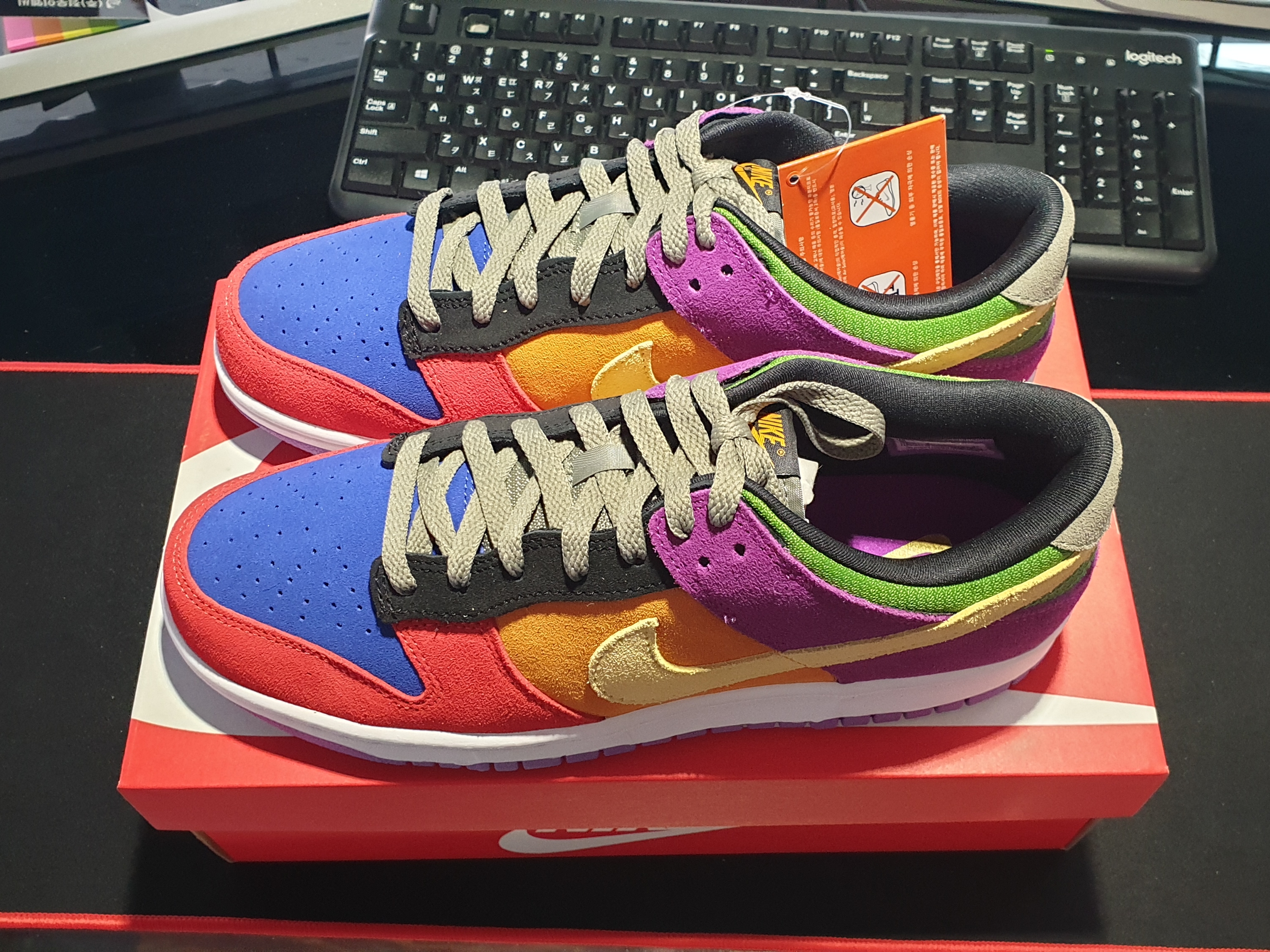 Nike Dunk Low SP Retro Viotech 2019 착용 스타일 - 2