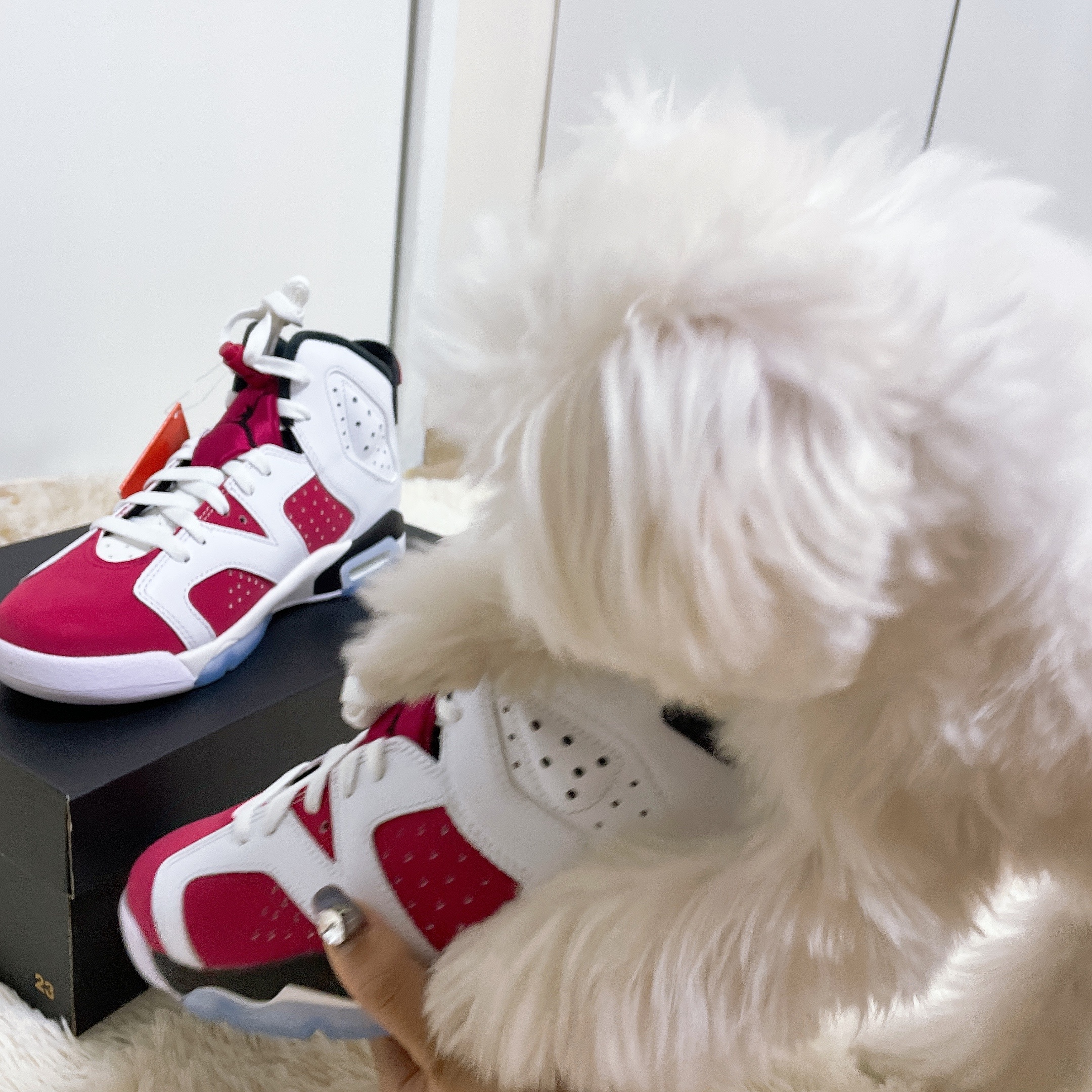 (GS) Jordan 6 Retro Carmine 2021 착용 스타일 - 3