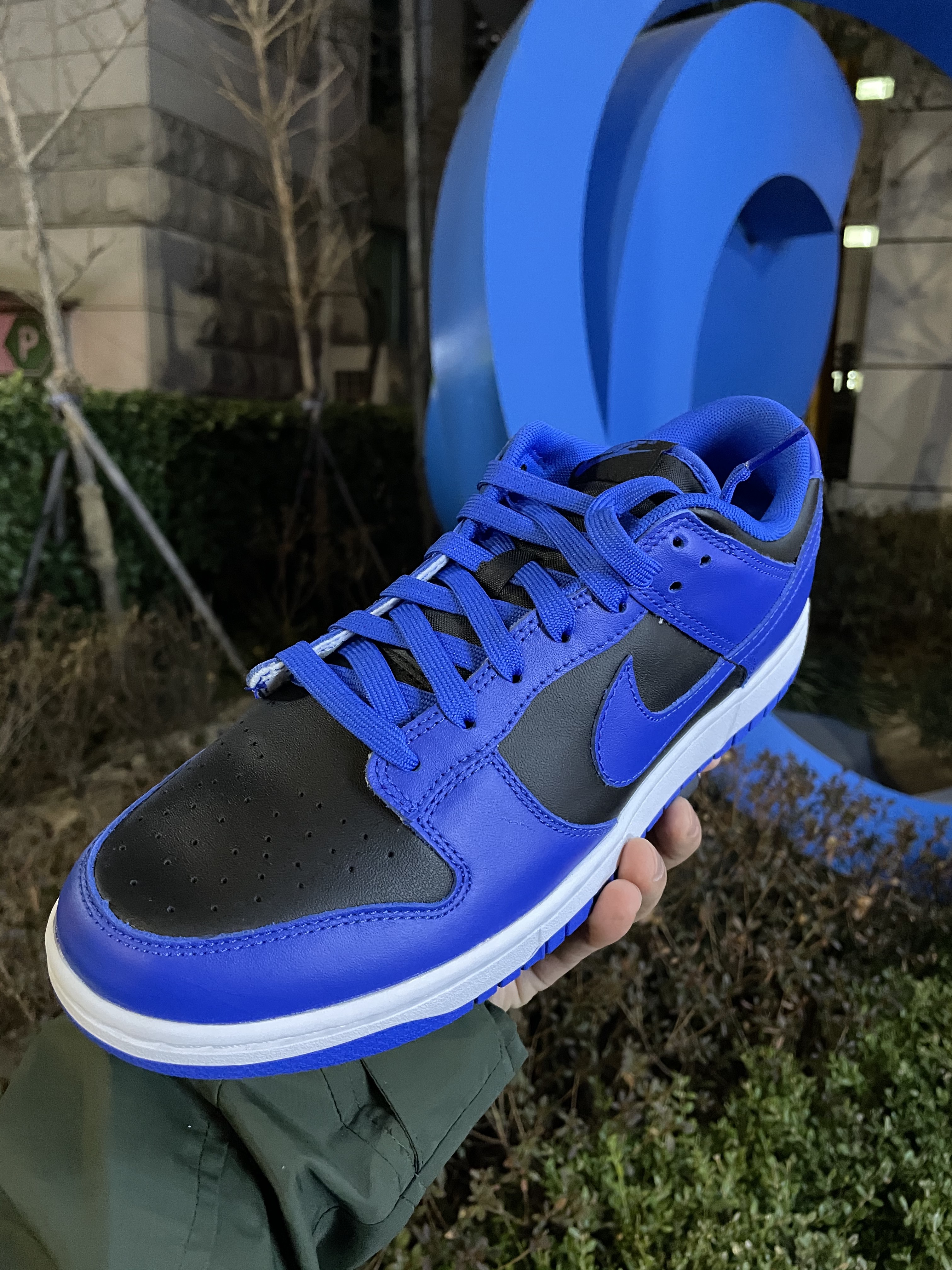 Nike SB Dunk Low Pro Bred, Nike Dunk Low Retro Hyper Cobalt 착용 스타일 - 3