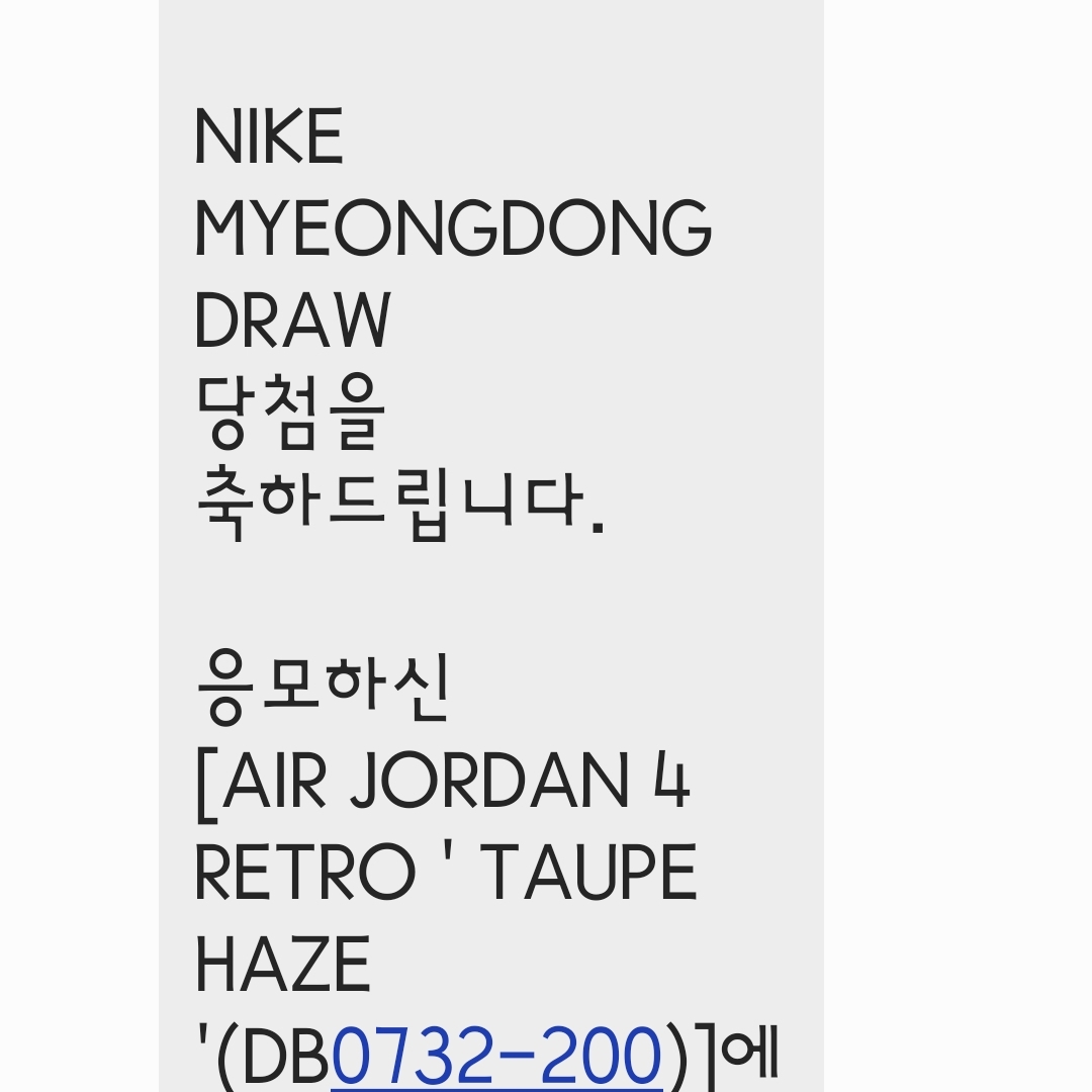 Jordan 4 Retro Taupe Haze 착용 스타일 - 2