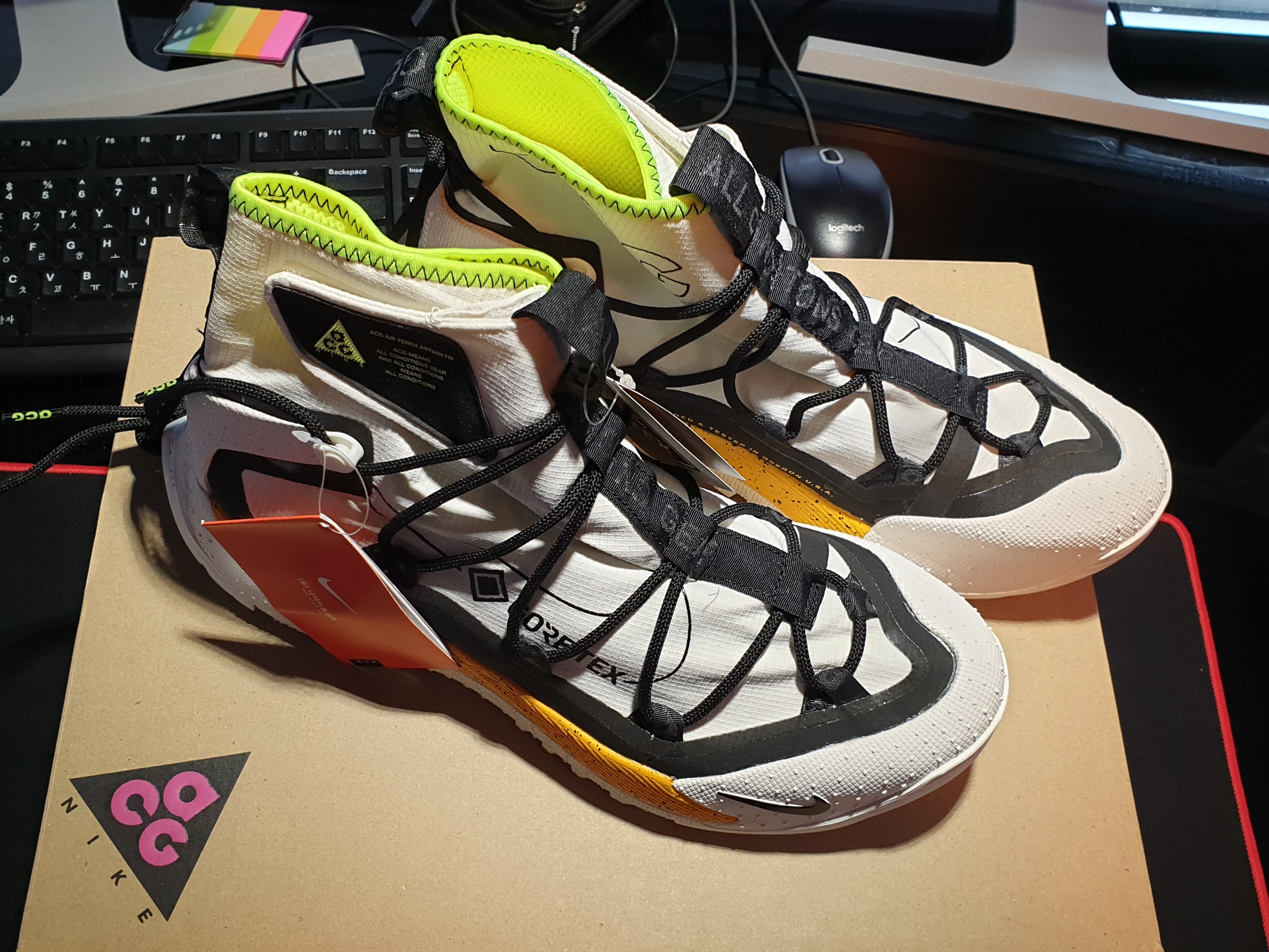 Nike ACG Terra Antarktik Gore-Tex Summit White 착용 스타일 - 1