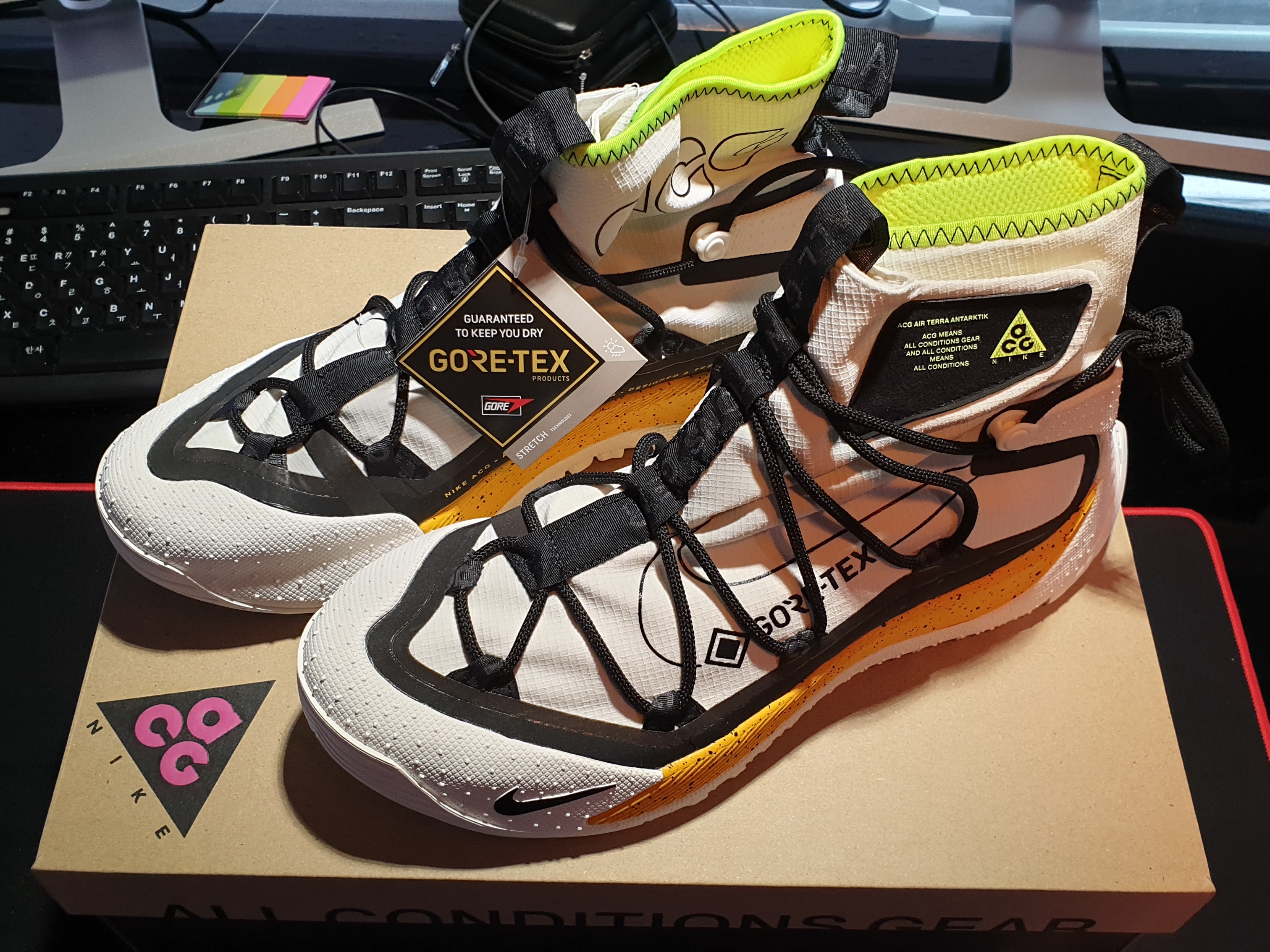 Nike ACG Terra Antarktik Gore-Tex Summit White 착용 스타일 - 2