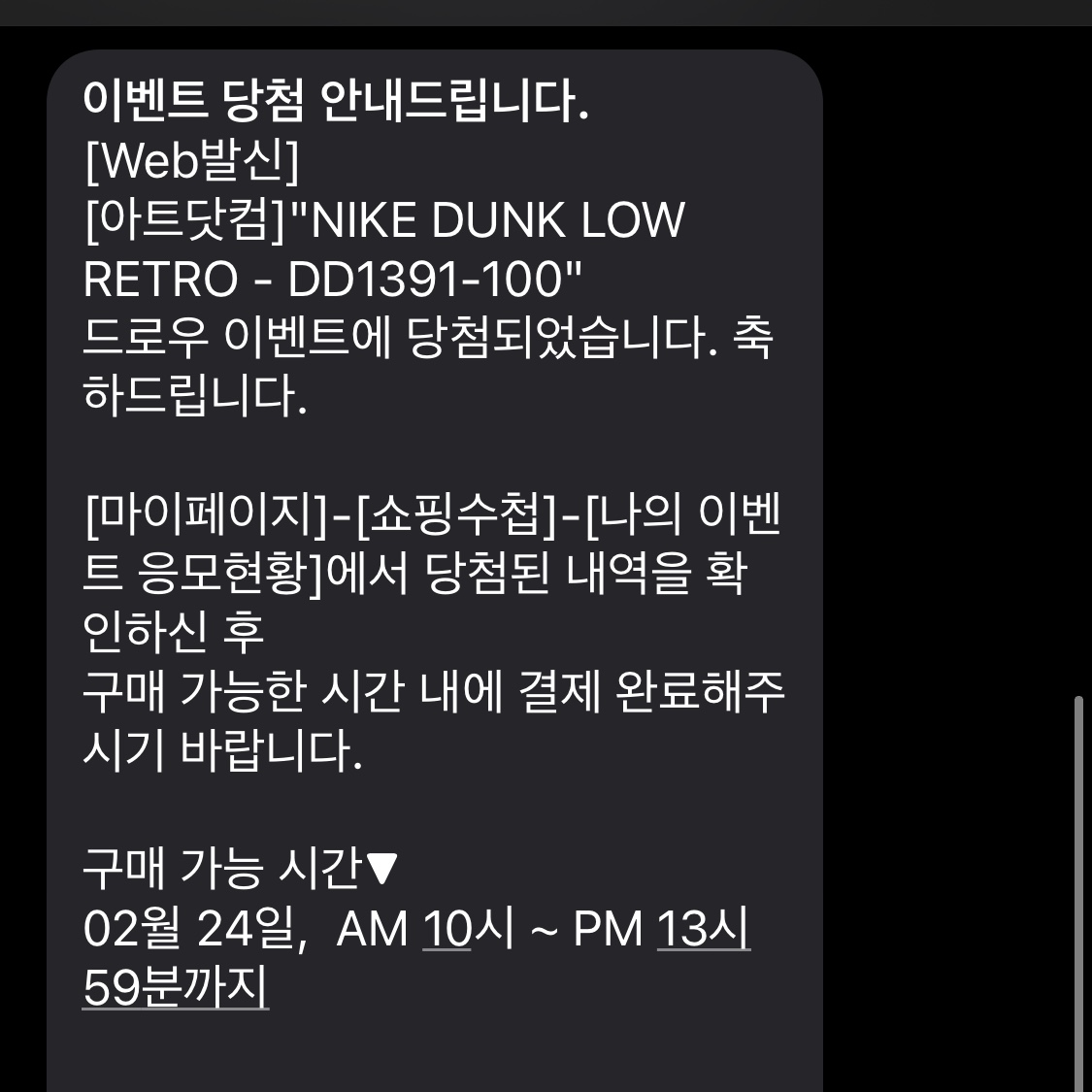 Nike Dunk Low Retro Black 착용 스타일 - 2